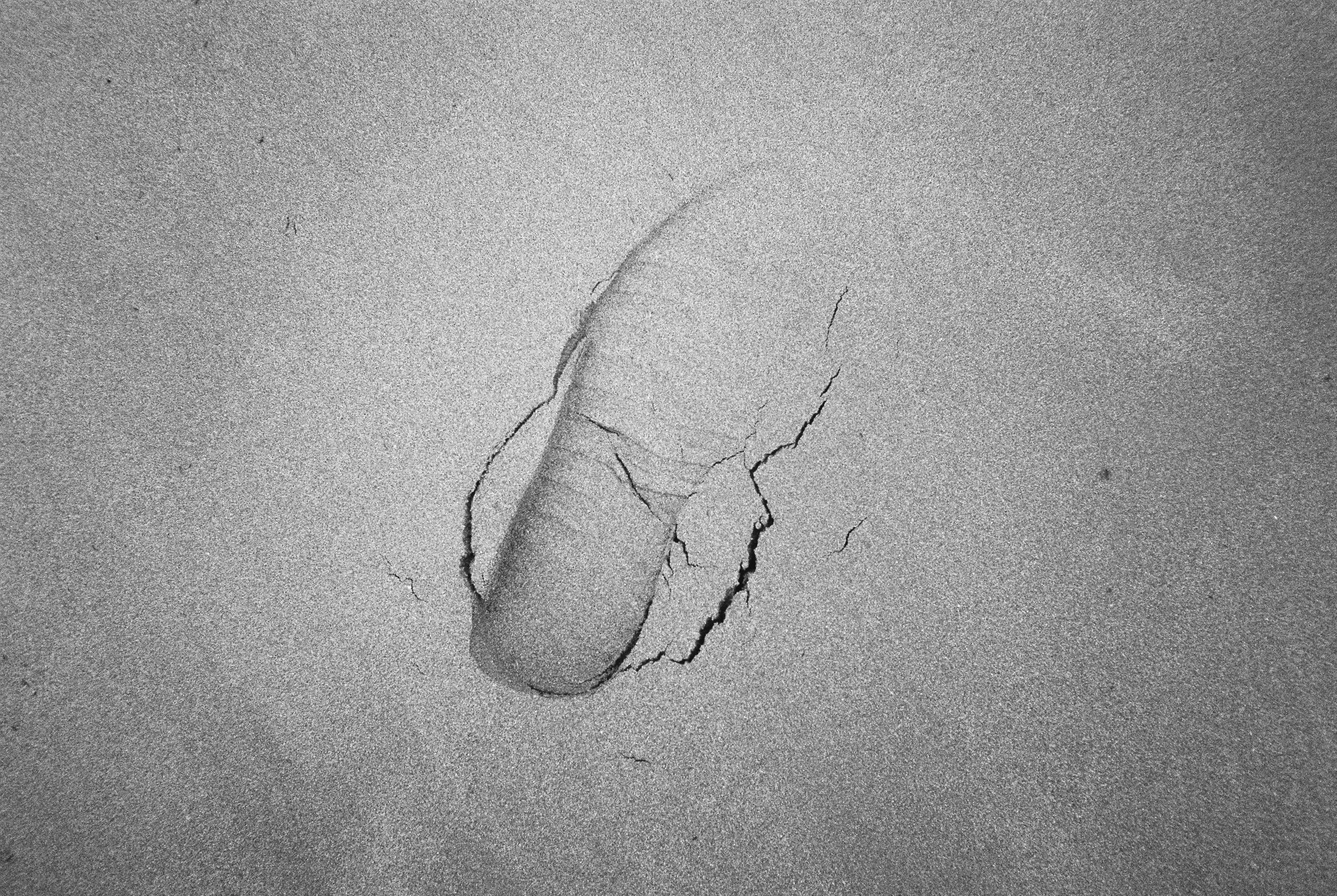 08.2026_Chinon Auto 3001_Ilford HP5 Plus_b-01910-0017.jpg
