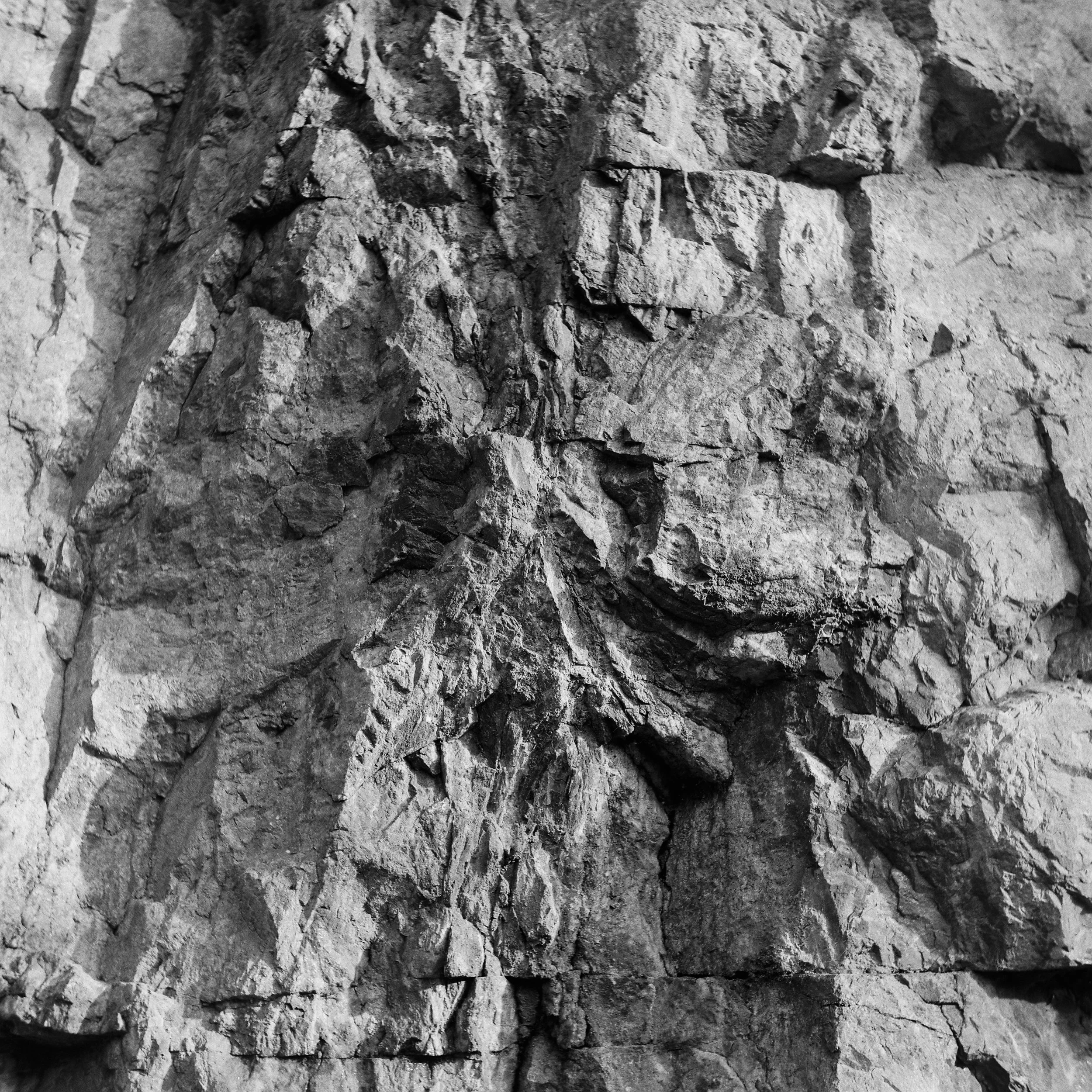 02.2026_Yashica D_Ilford HP5 400_b-06805-0007.jpg