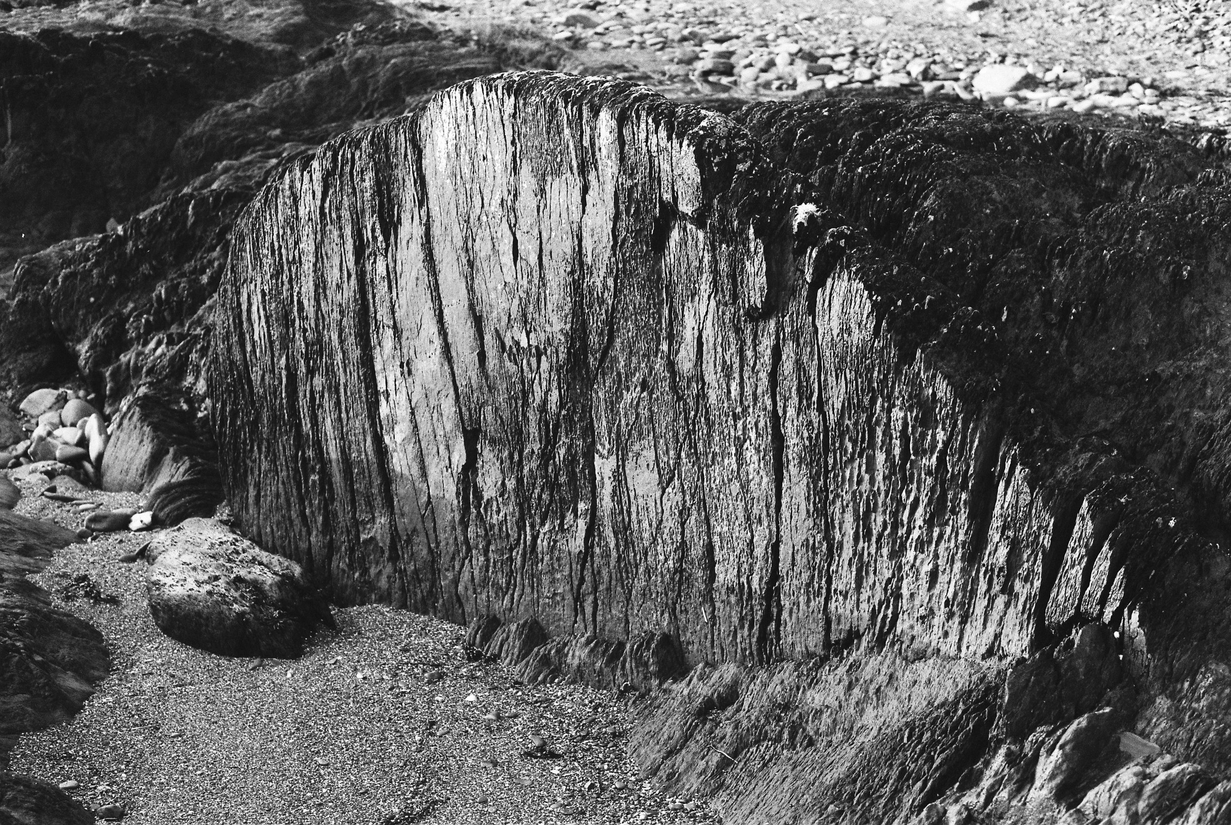 11.2025_Pentax MX_Ilford HP5 Plus 400-05094-0024.jpg