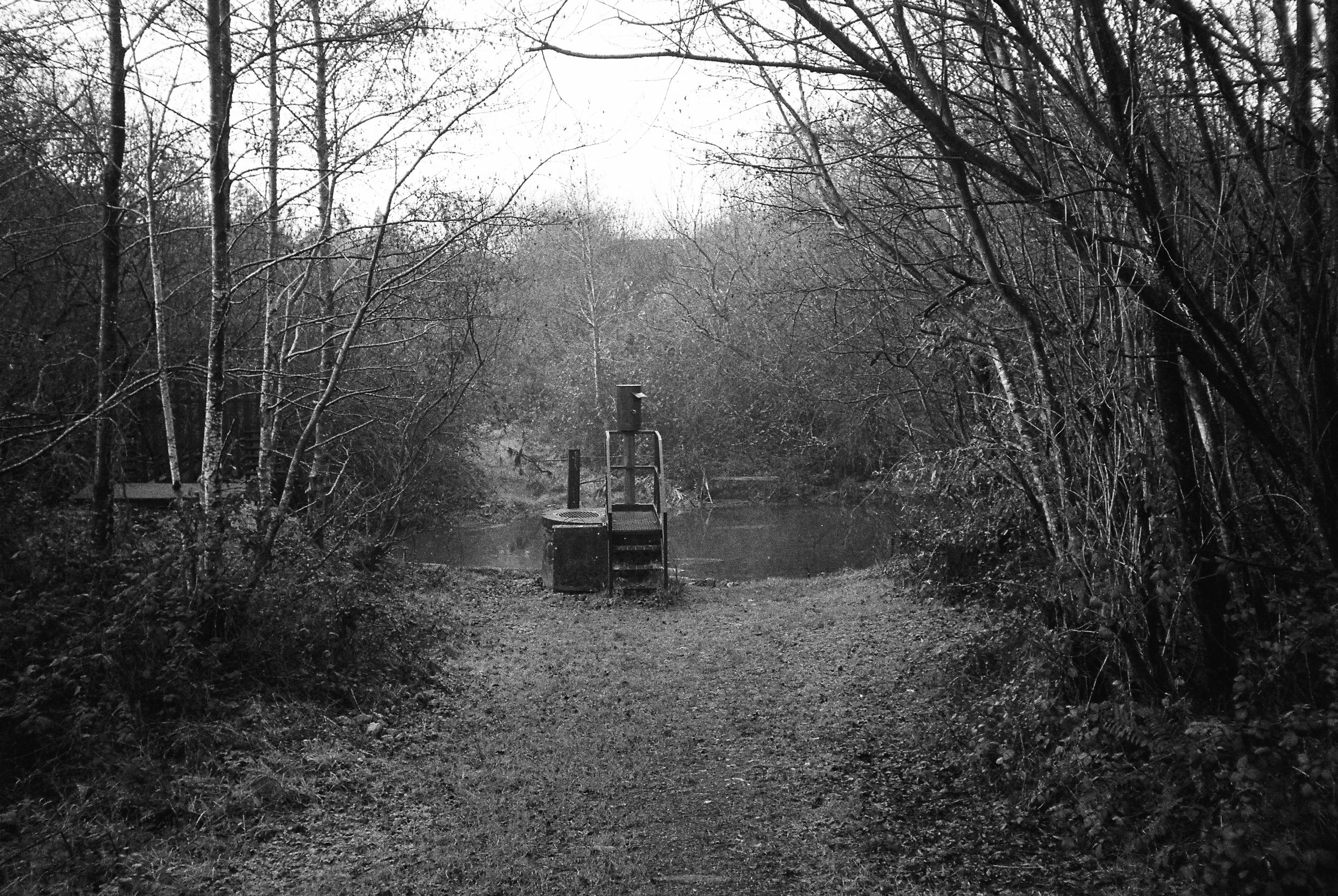 01.2026_Chinon Auto 3001_Ilford HP5 Plus 400-06057-0002.jpg