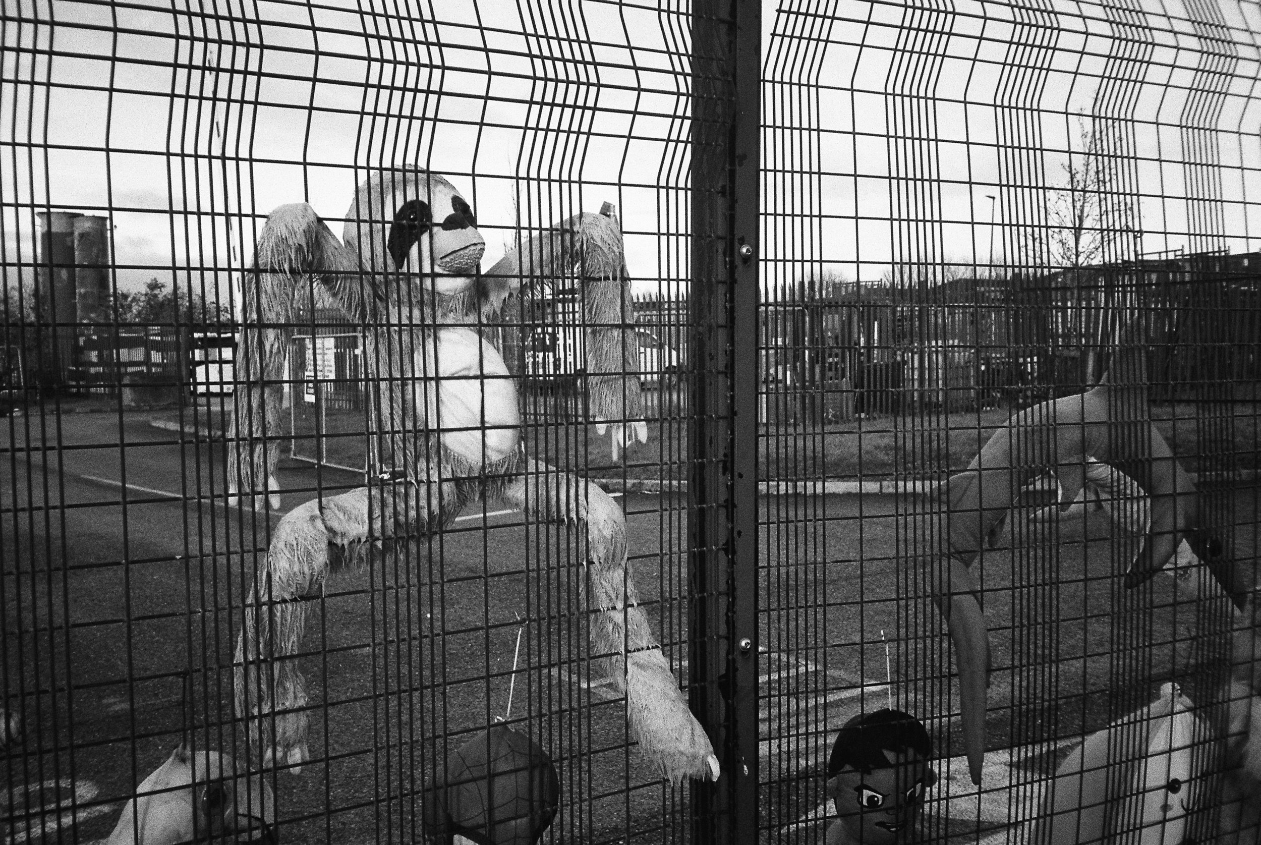 01.2026_Chinon Auto 3001_Ilford HP5 Plus 400-06057-0010.jpg