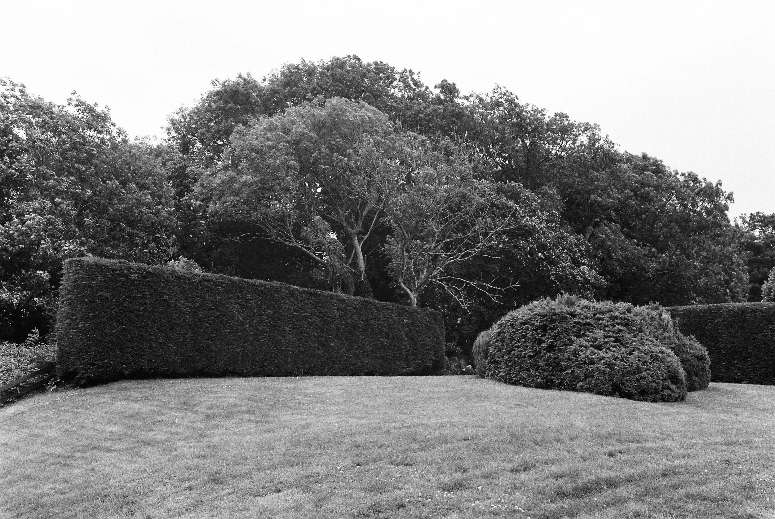 07.2025_Canon FTb QL_Ilford HP5 Plus-02919-0027.jpg