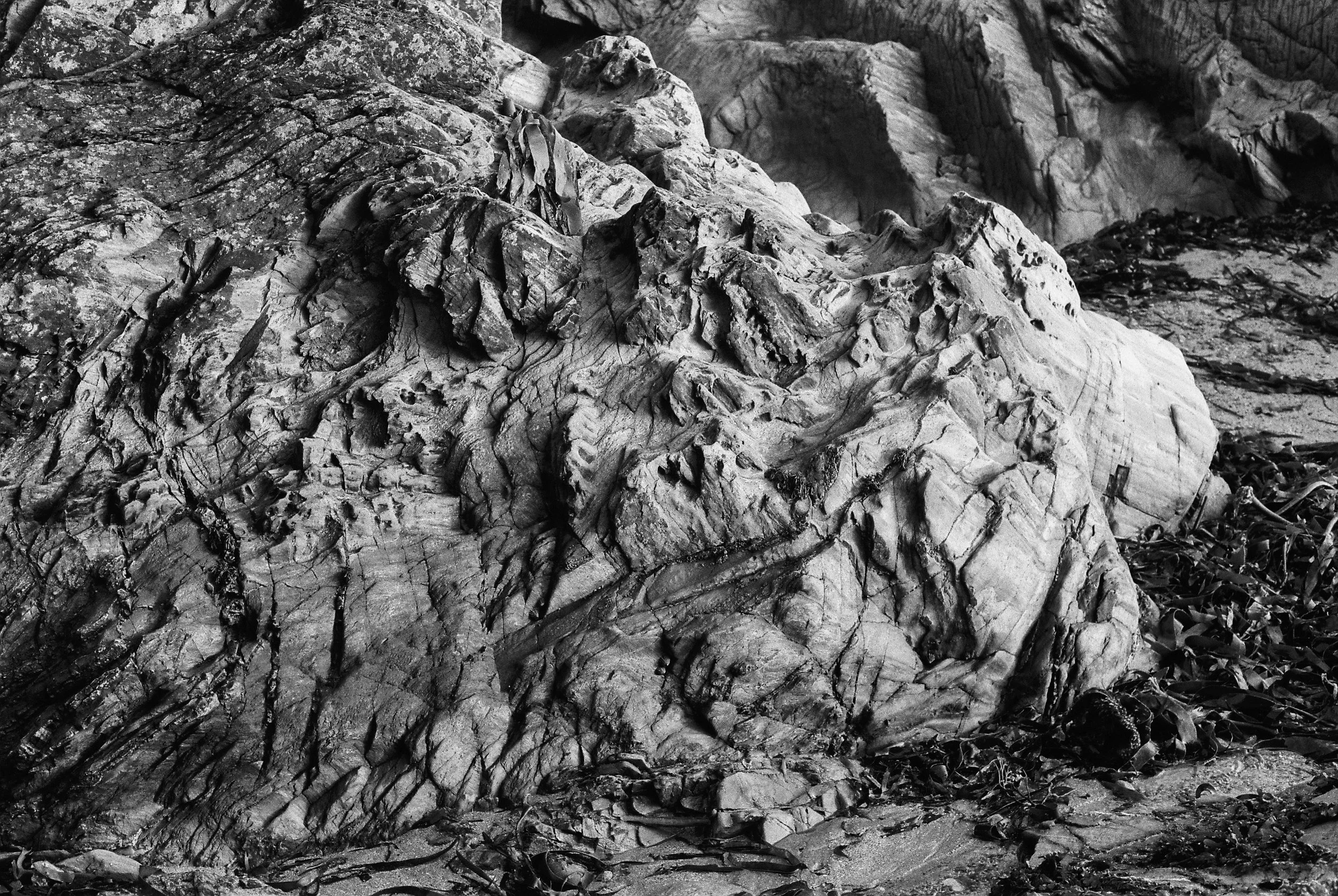 11.2025_Pentax MX_Ilford HP5 Plus 400-05094-0009.jpg