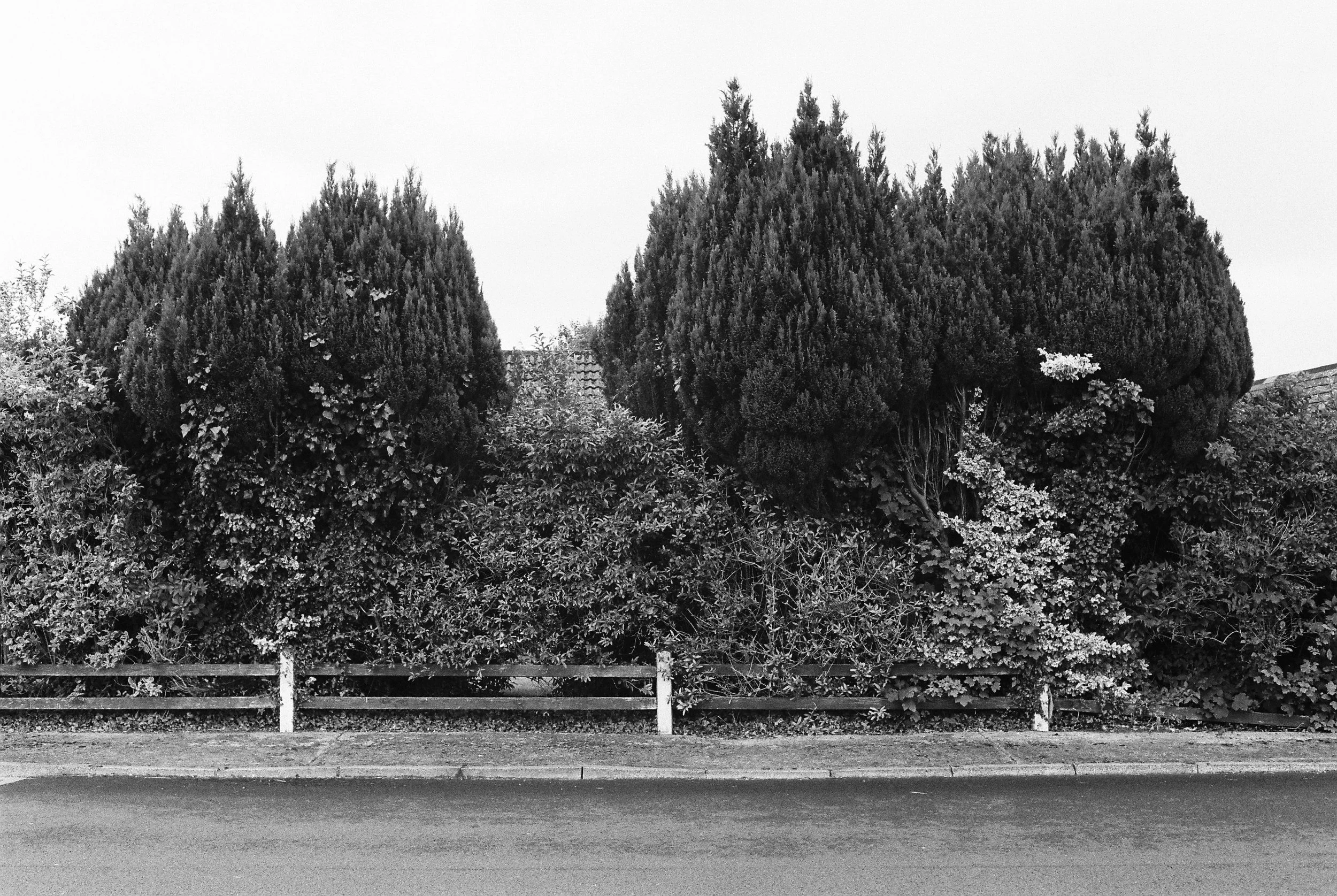 07.2025_Canon FTb QL_Ilford HP5 Plus-02919-0024.jpg