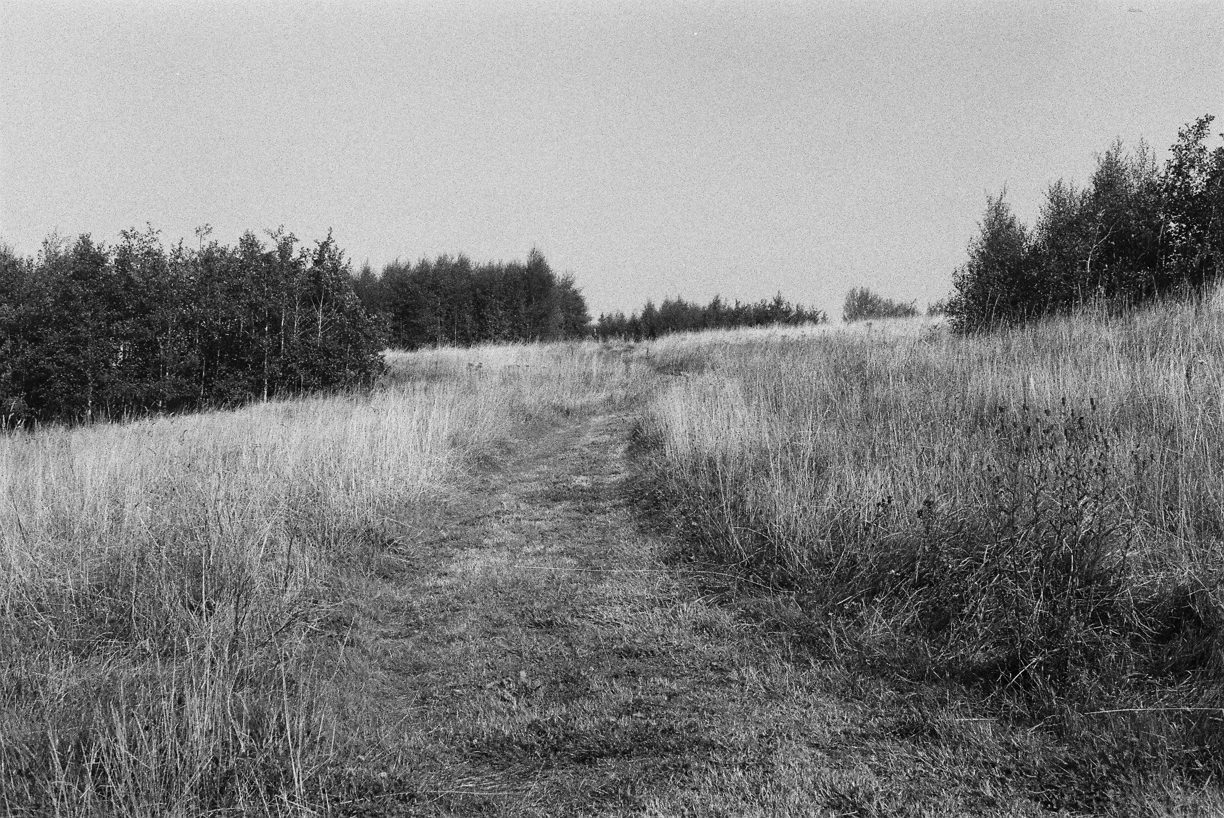08.2024_Canon P_Iflord HP5 400-00542-0004.jpg