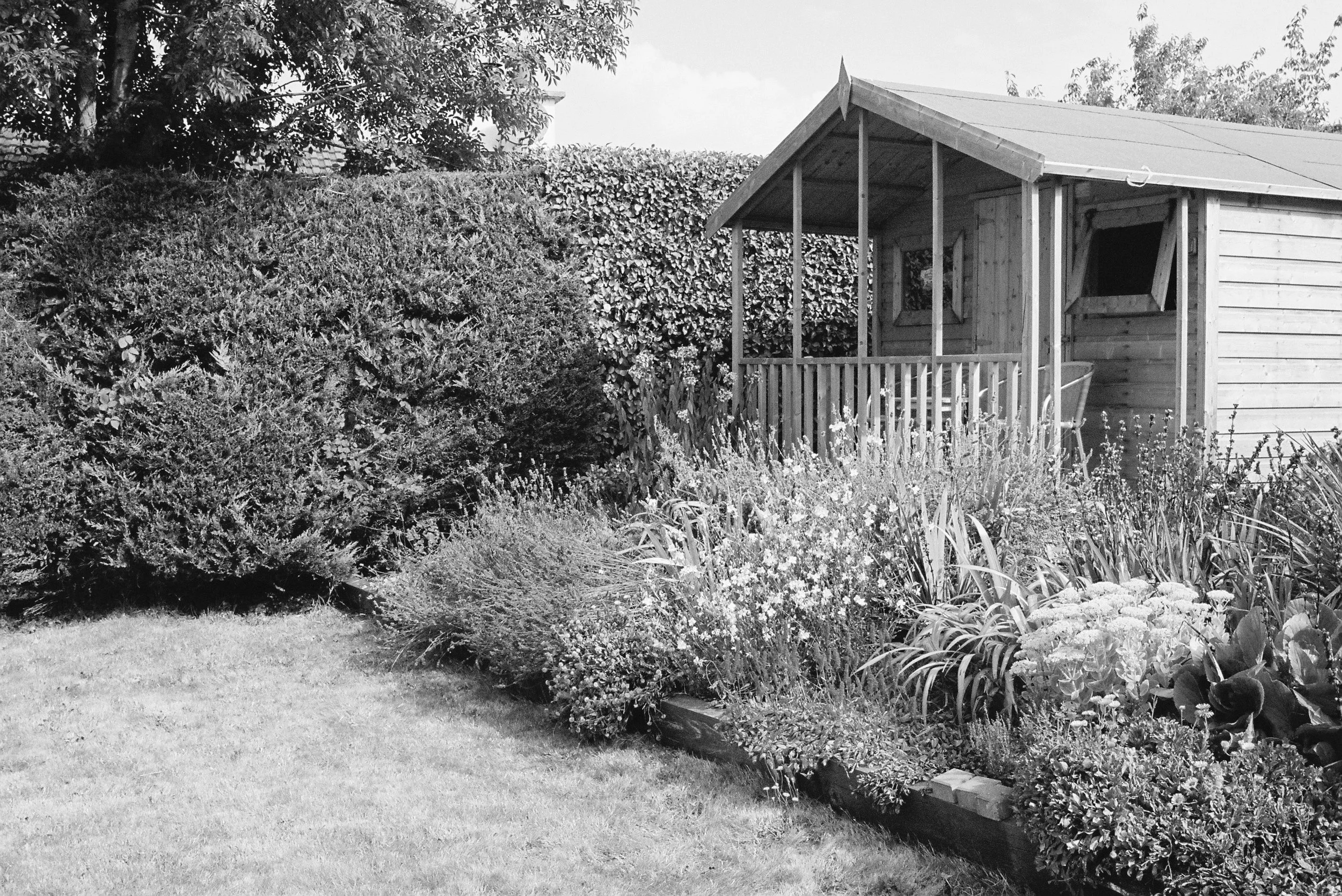 08.2022_Canon EOS 500_Portra 400_II-07403-0033.jpg