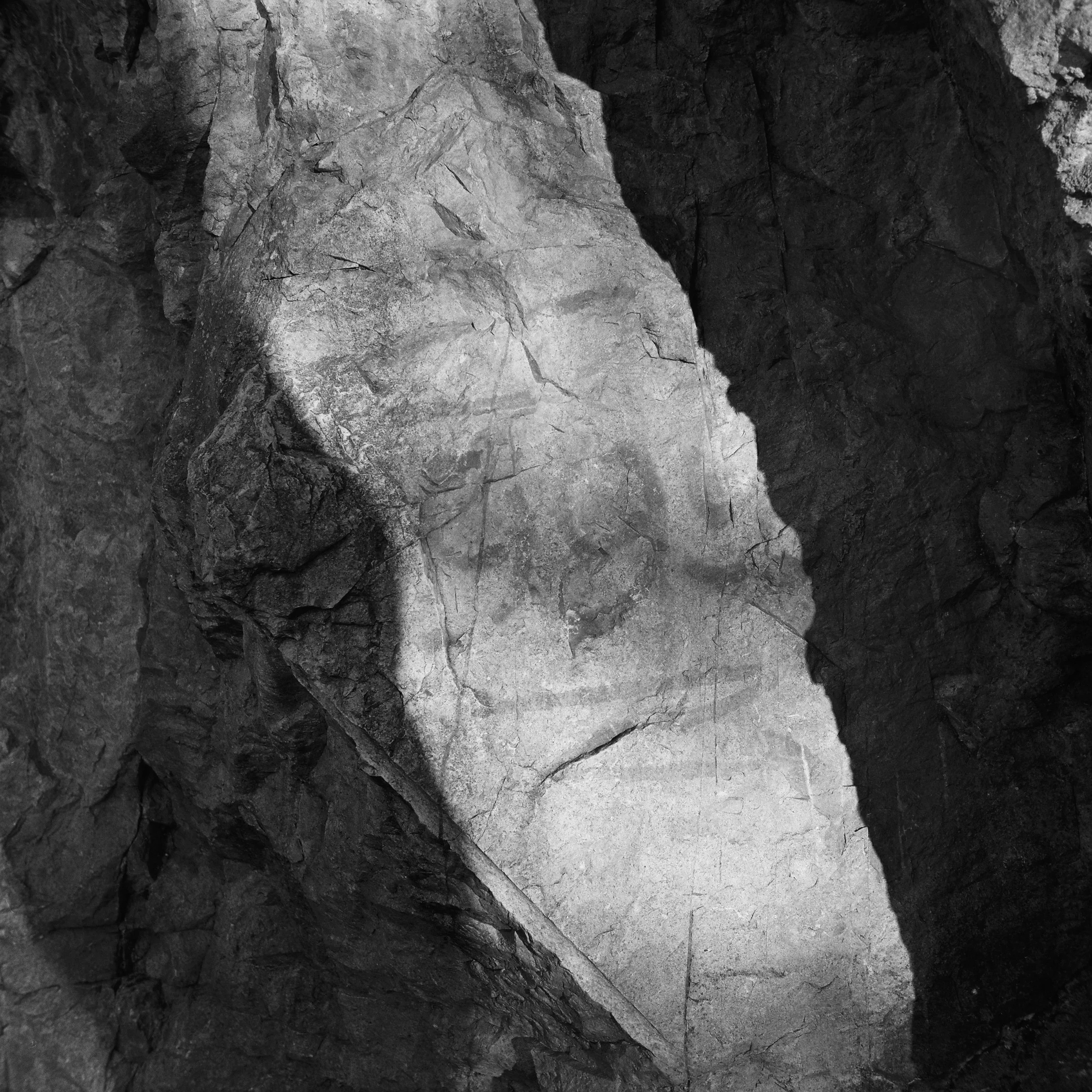 01.2026_Yashica D_Ilford HP5 Plus 200-06143-0010.jpg