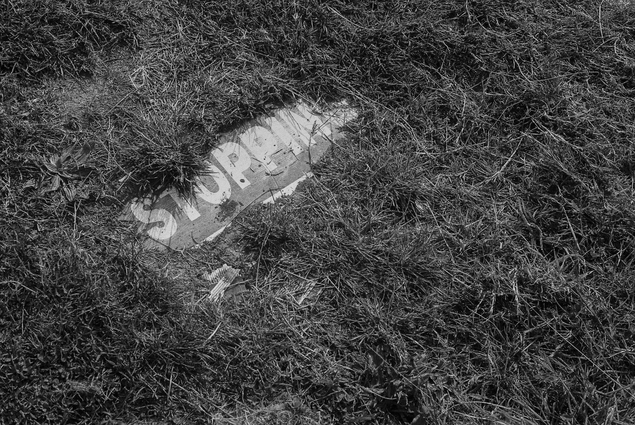 08.2024_Canon P_Iflord HP5 400-00542-0005.jpg