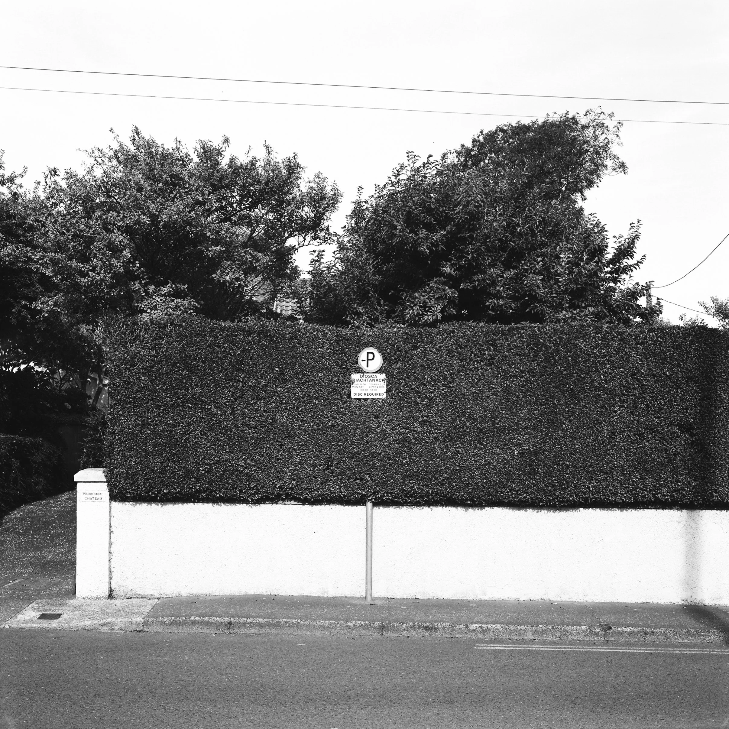 08.2025_Fujica Super 6_Ilford Delta 100-05022-0006.jpg