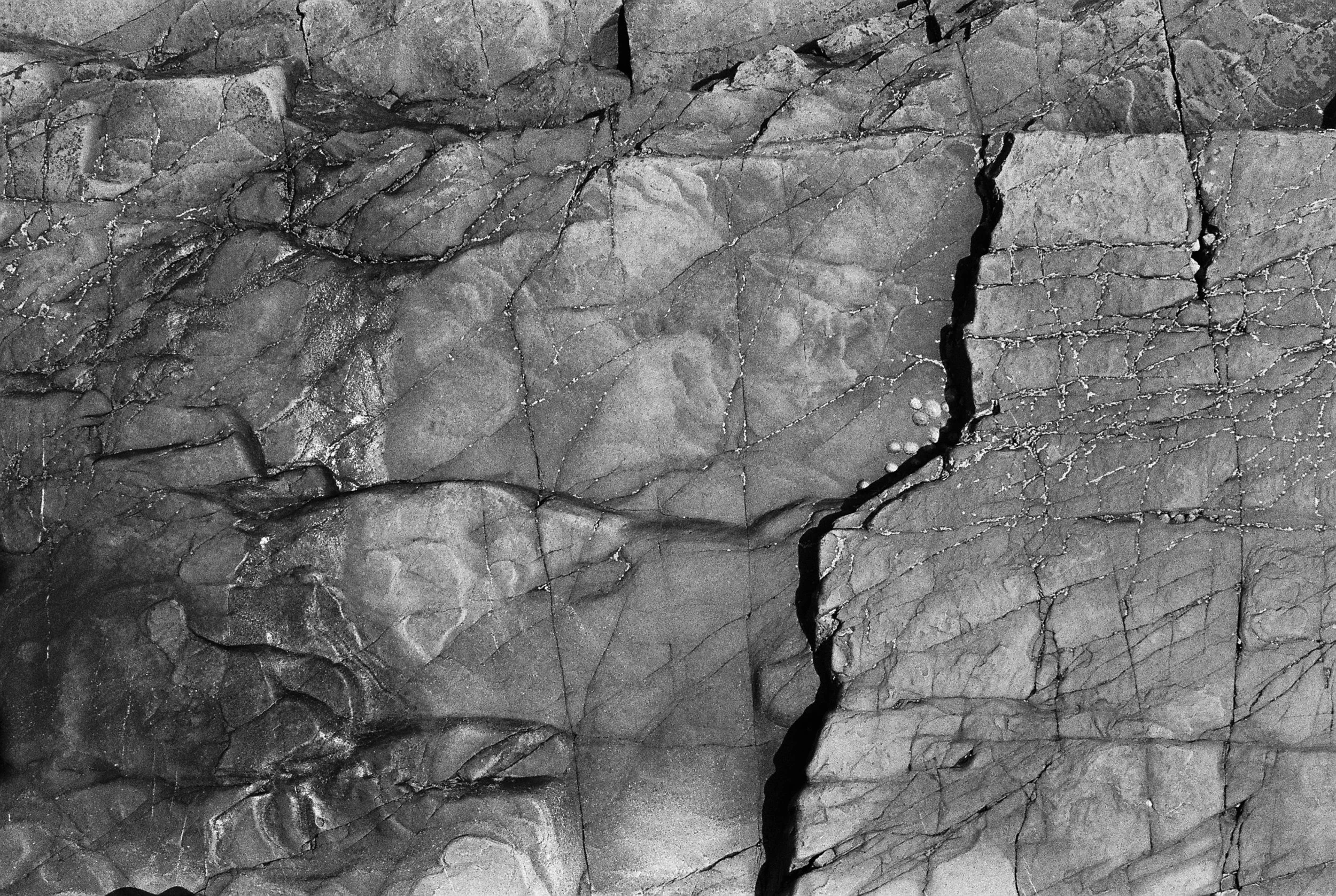 01.2025_Canon P_Ilford HP5 400-00928-0028.jpg