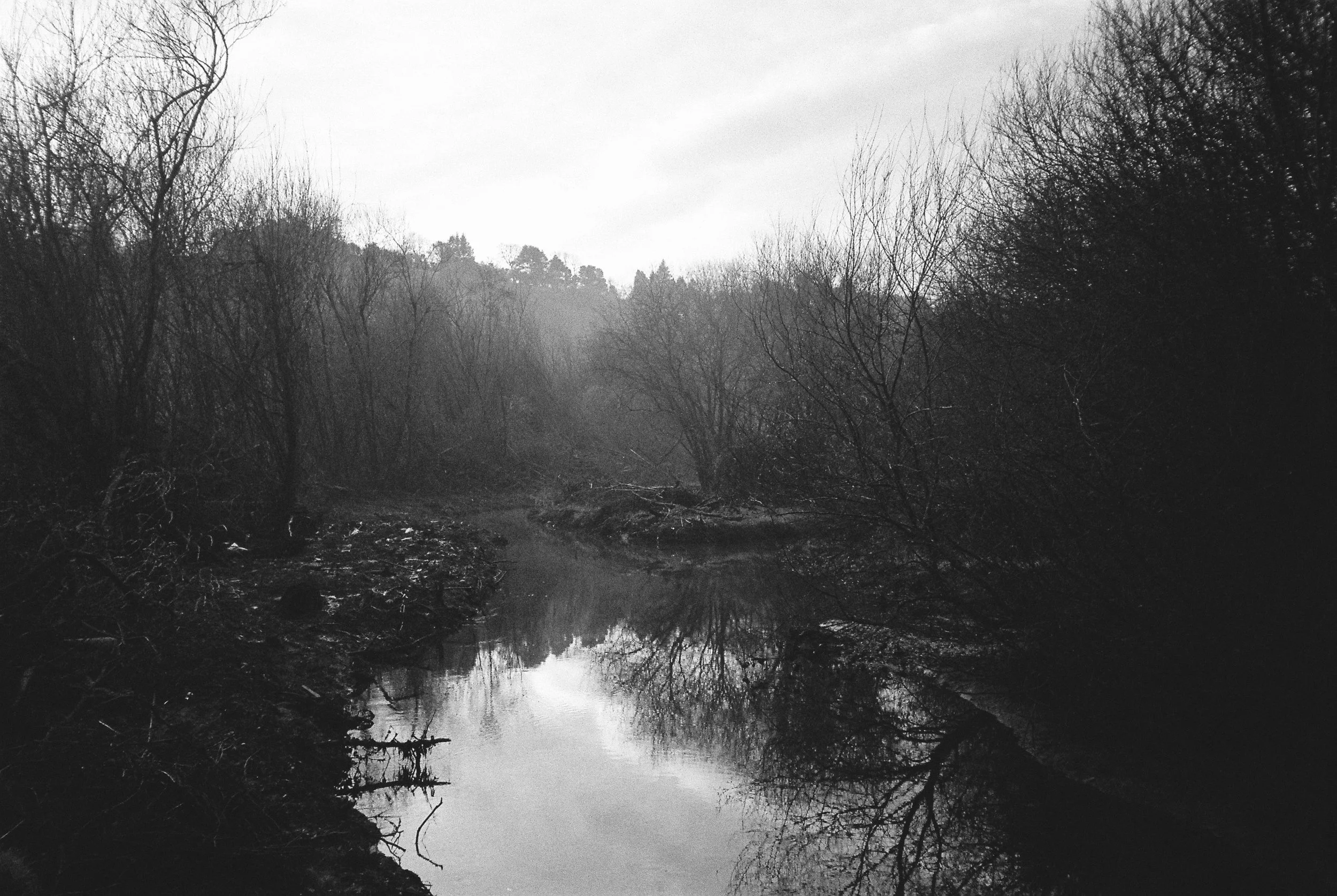 01.2026_Chinon Auto 3001_Ilford HP5 Plus 400-06057-0006.jpg