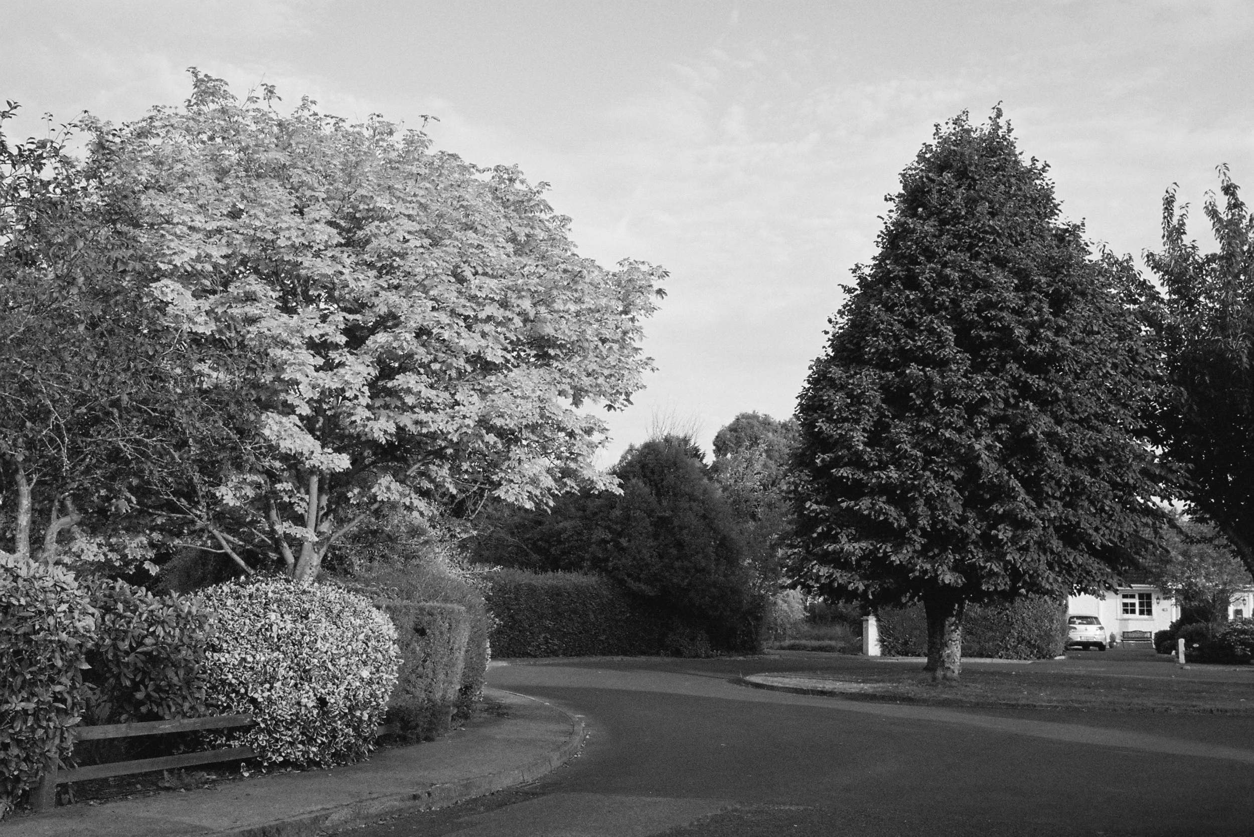 08.2022_Canon EOS 500_Lomo 800-07412-0014.jpg