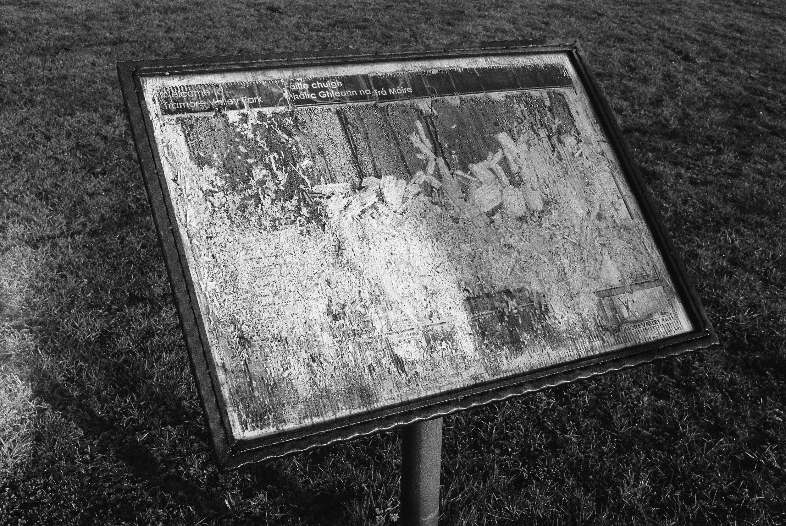 01.2026_Canon EOS 500_Ilford HP5 400-06607-0036.jpg