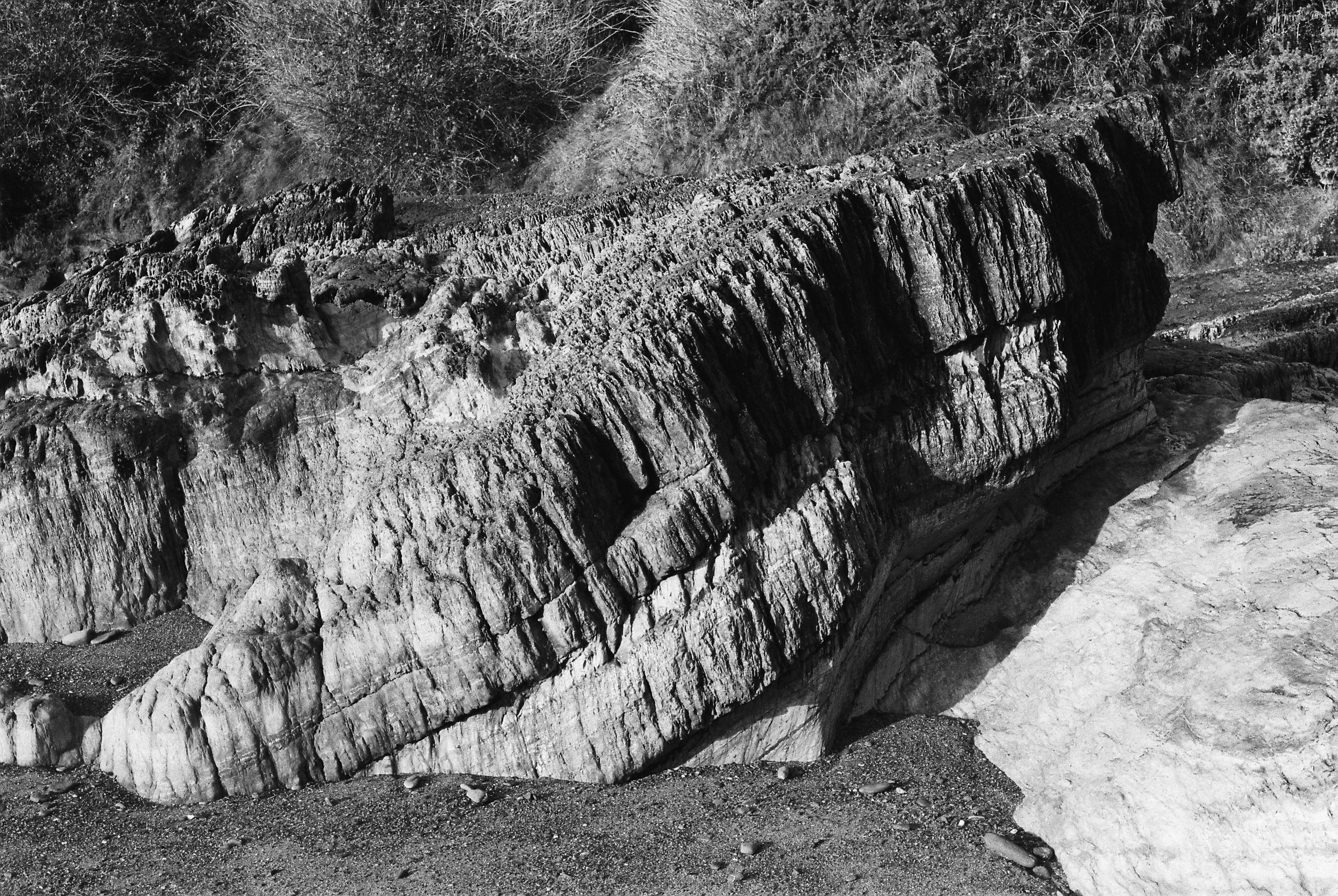 11.2025_Pentax MX_Ilford HP5 Plus 400-05094-0020.jpg