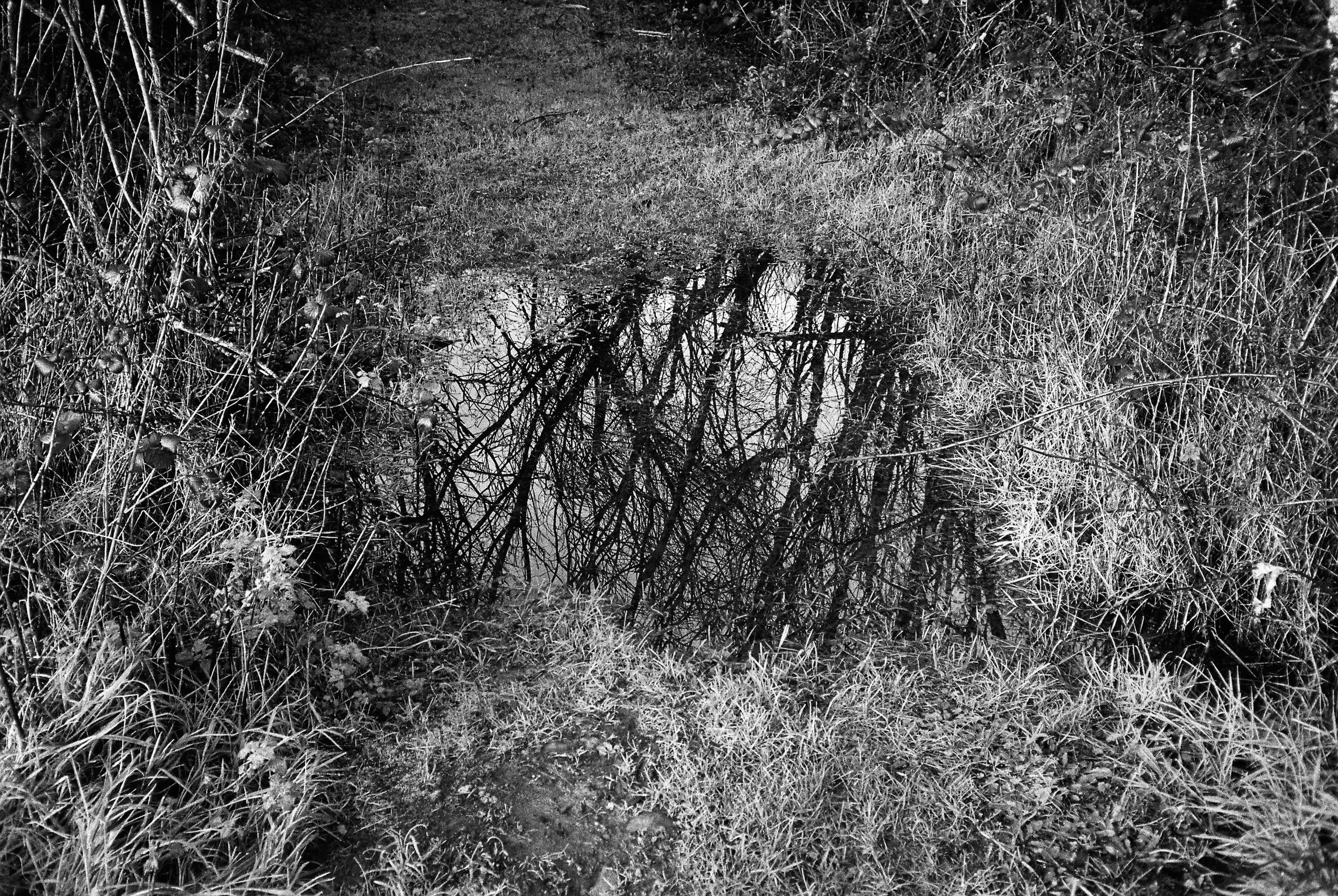 01.2026_Chinon Auto 3001_Ilford HP5 Plus 400-06057-0003.jpg