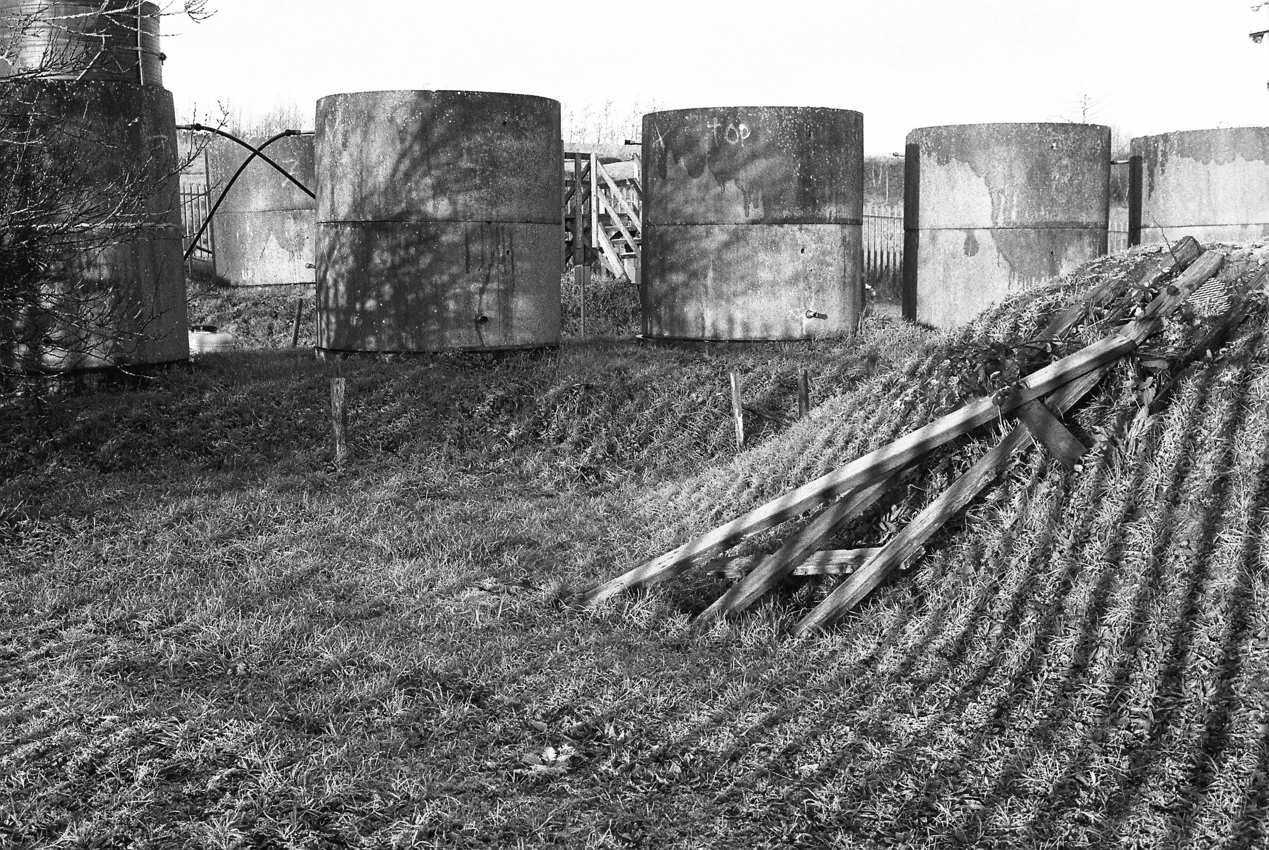 01.2026_Canon EOS 500_Ilford HP5 400-06607-0033-2.jpg