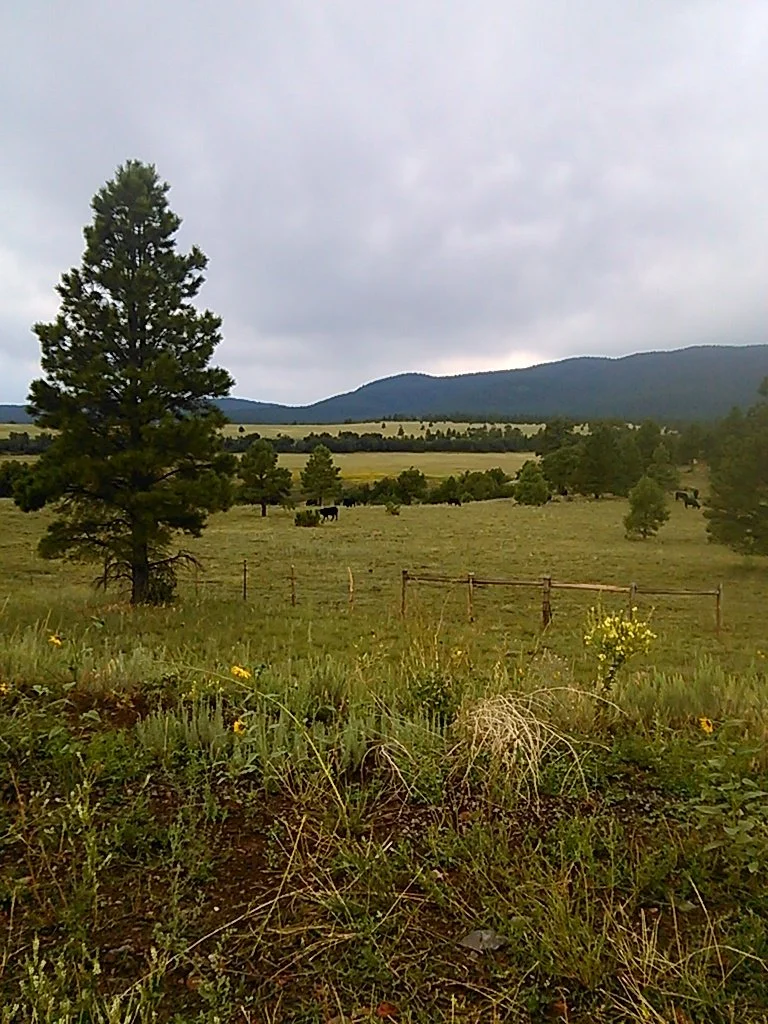 Coconino NRCD Local Work Group