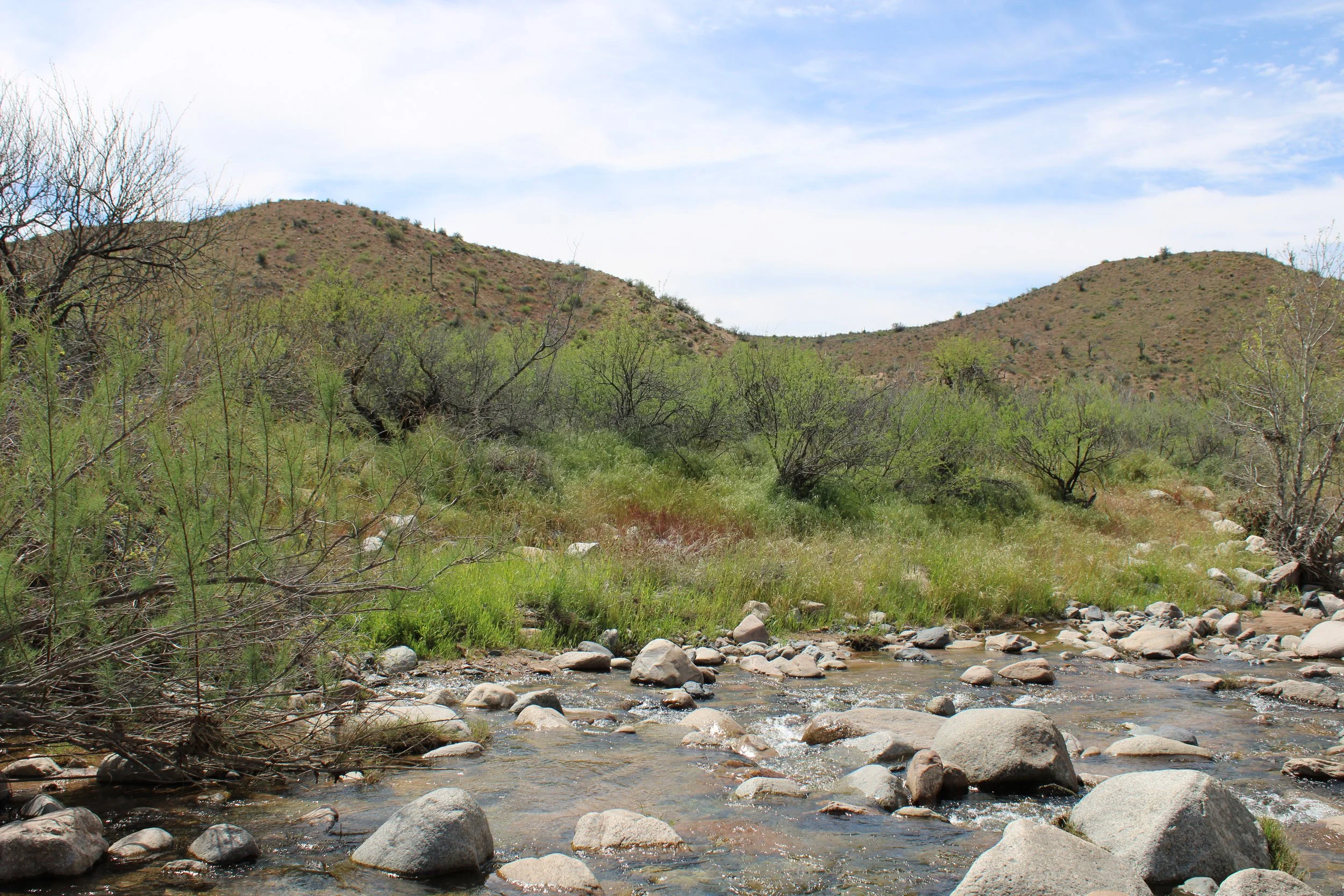 Apache NRCD Local Work Group