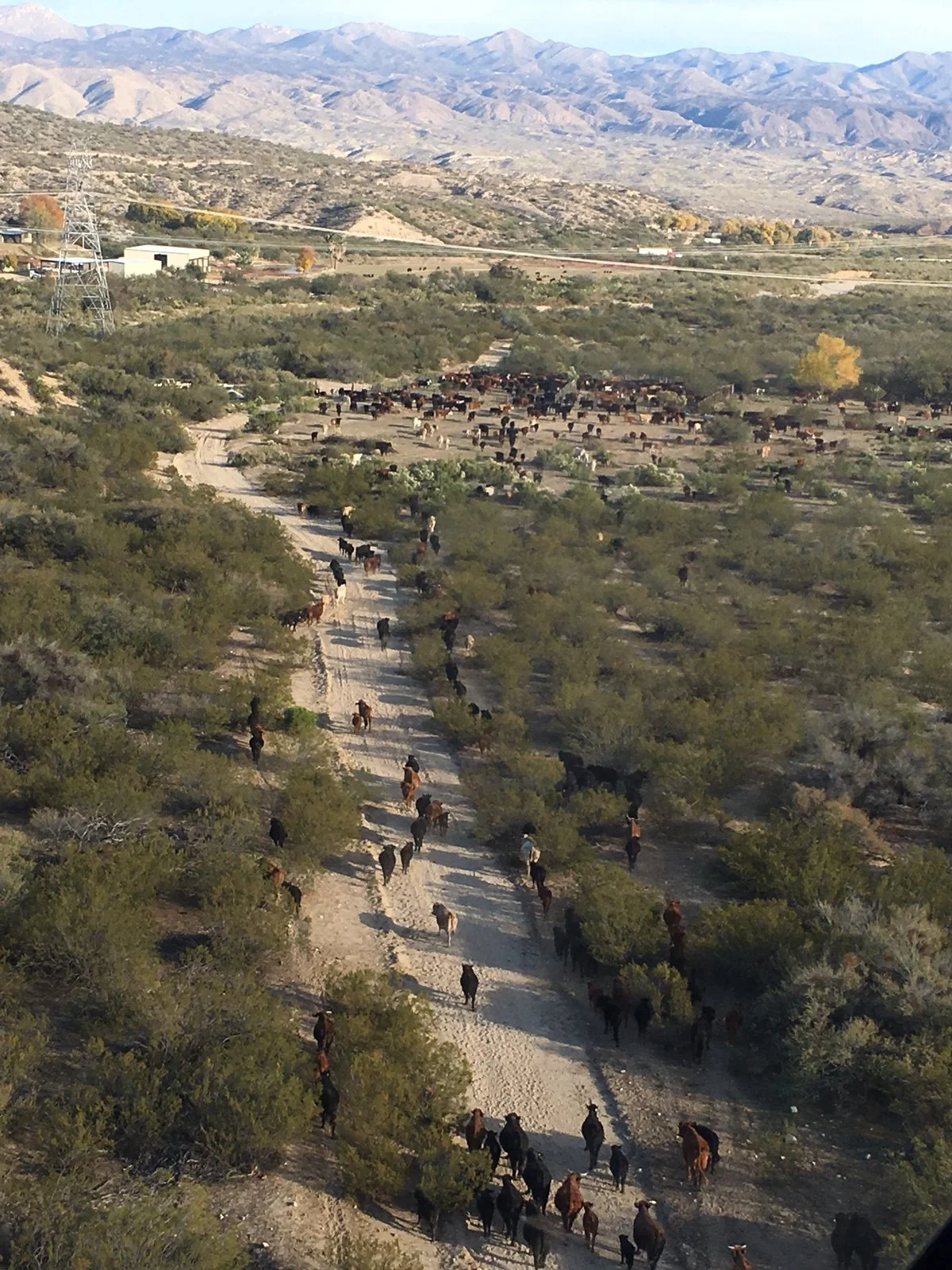 Big Sandy NRCD Local Work Group