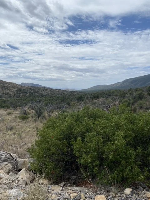 Whitewater Draw, Hereford, &amp; San Pedro NRCD Local Work Group