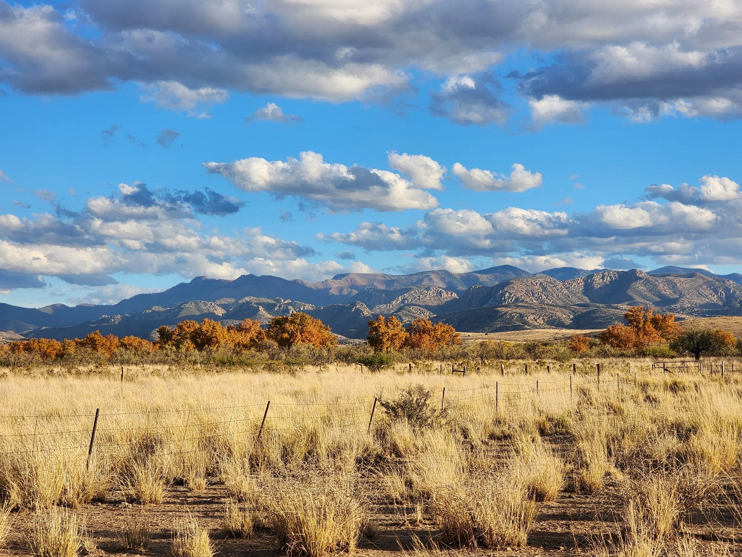Willcox-San Simon NRCD Local Work Group