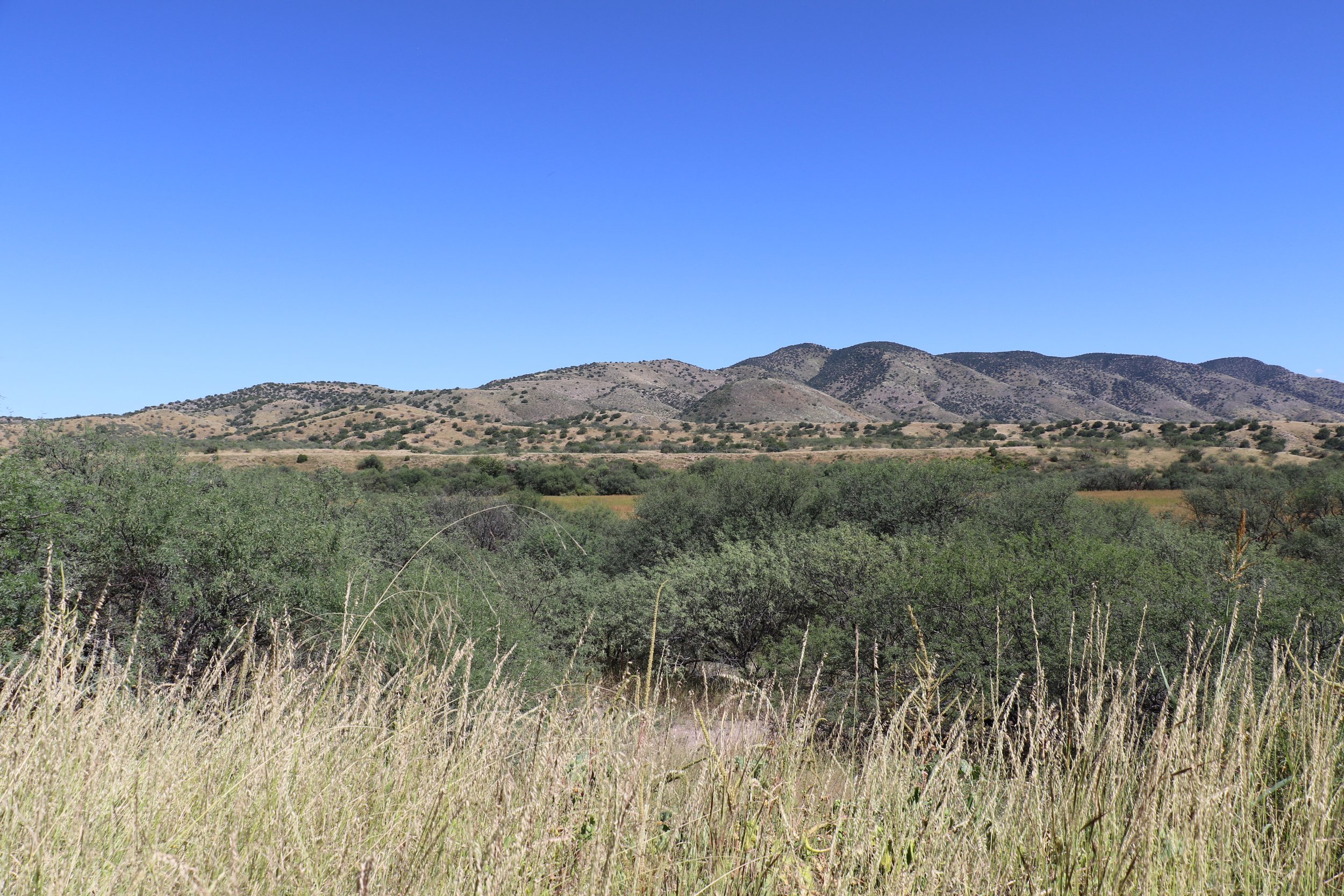 Santa Cruz NRCD Local Work Group