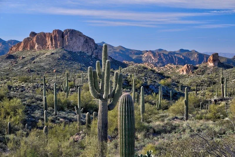 Tonto NRCD Local Work Group Meeting
