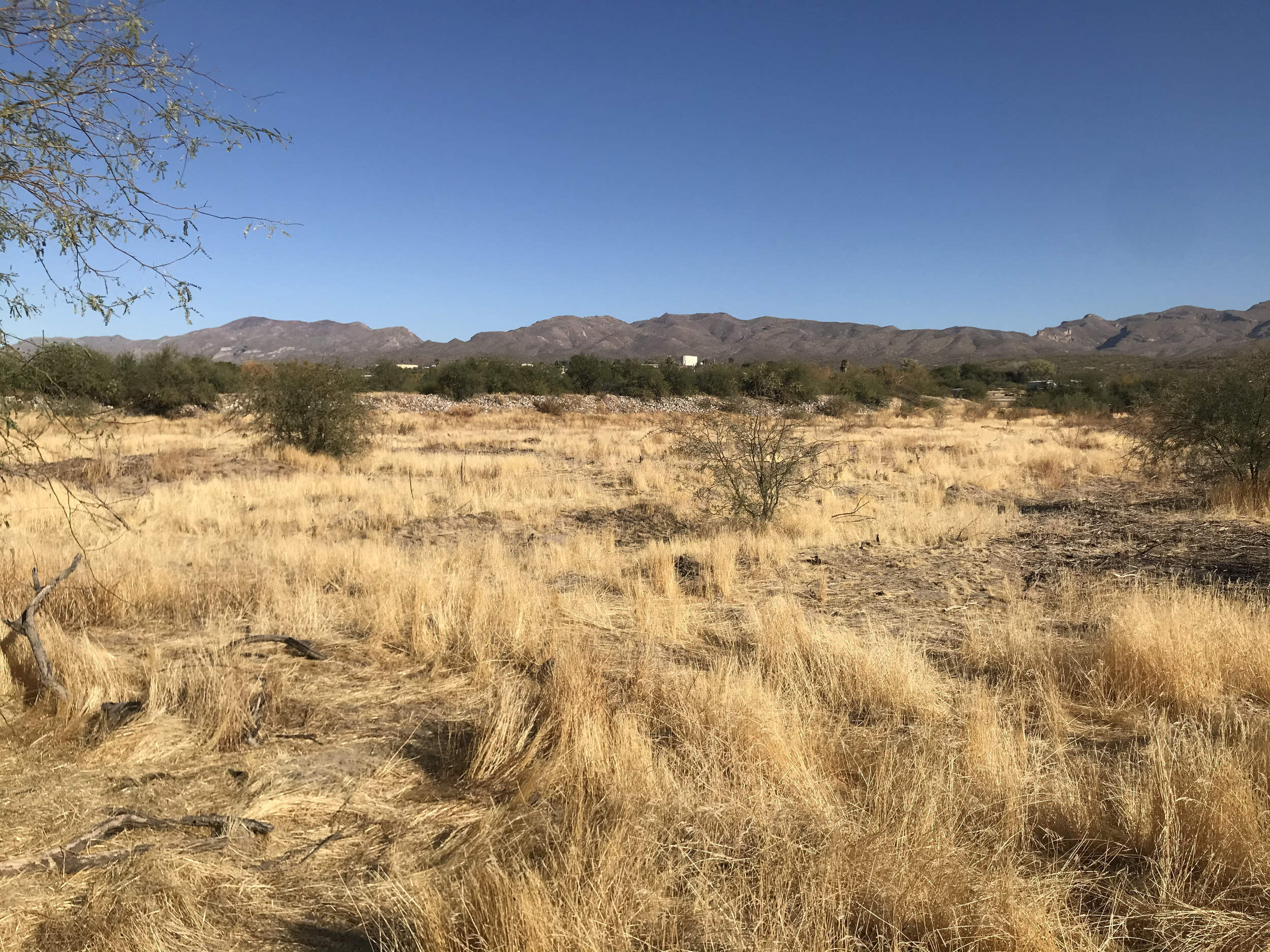 How to Access Info on Ecological Sites (Video)