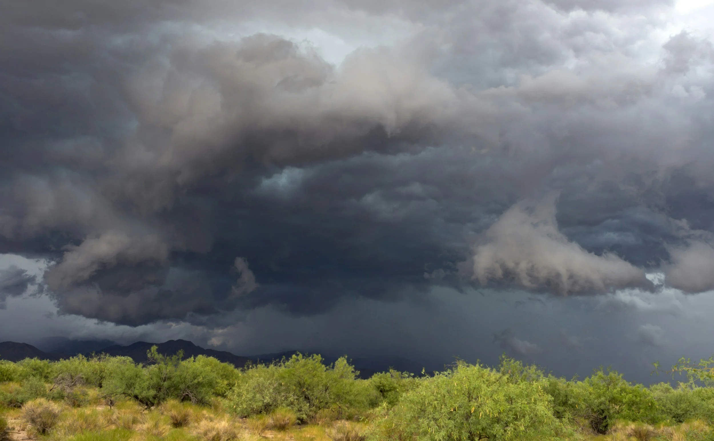 How to Obtain and Analyze Precipitation Data from WRCC
