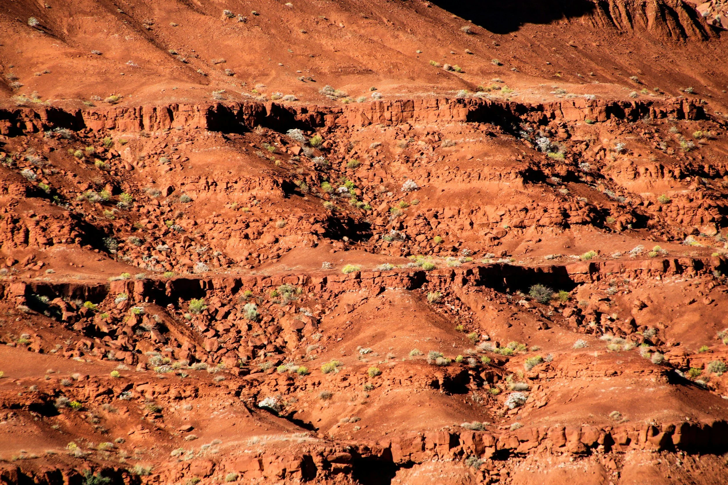 Soil Survey Status Map &amp; List
