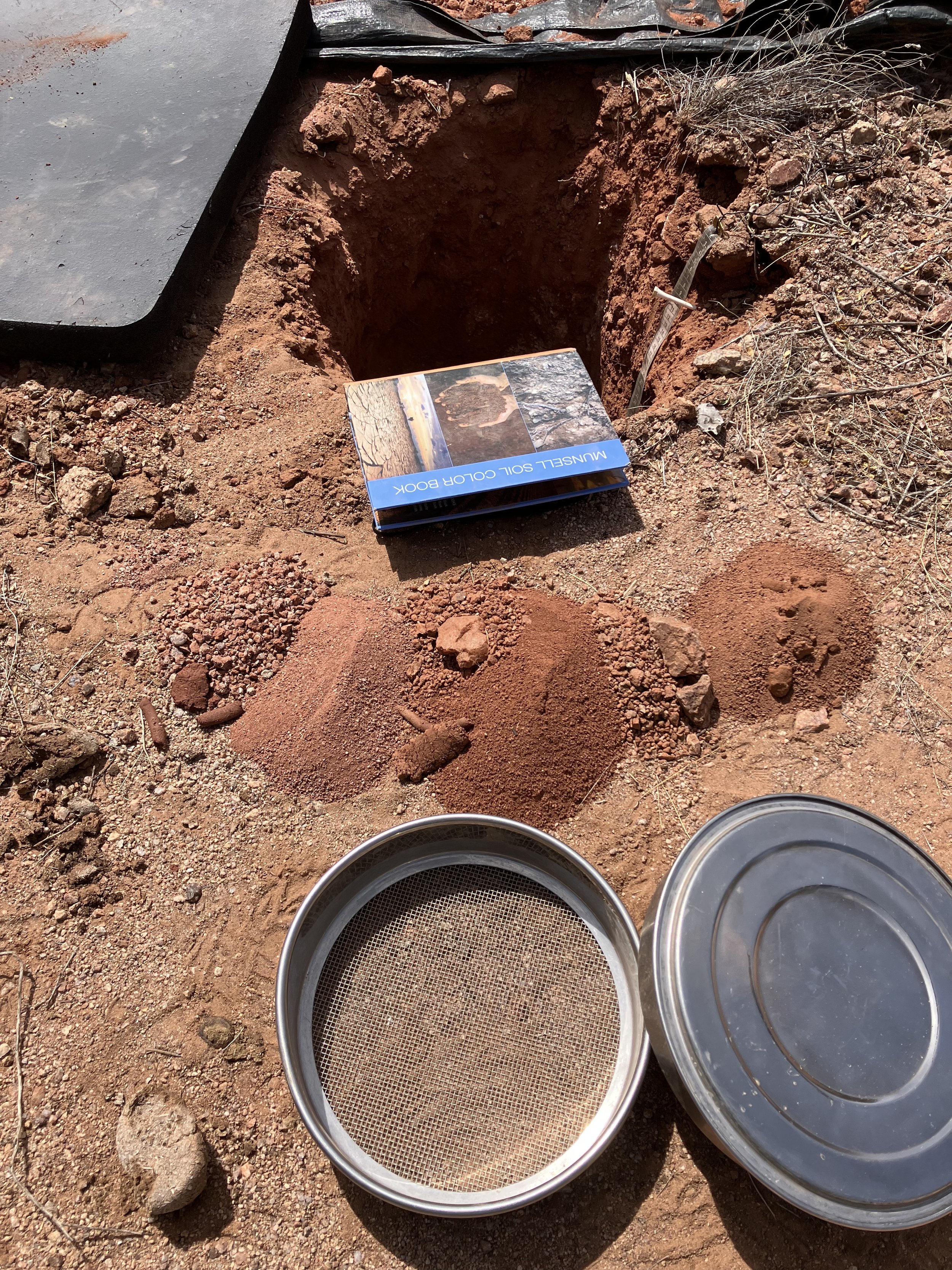 Five principles of soil health