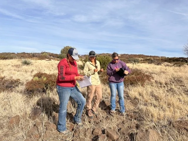 Sample Introduction