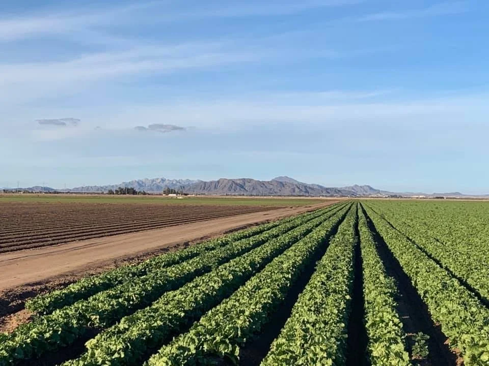 Increasing irrigation efficiency 