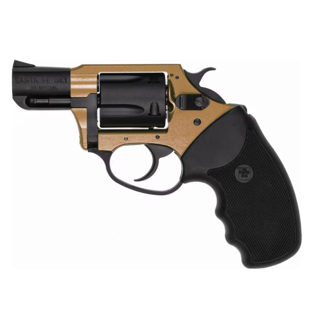 Day 22: CHARTER ARMS UNDERCVR LITE 53829 38SPL 2 " ALUM, BLK/BRONZE