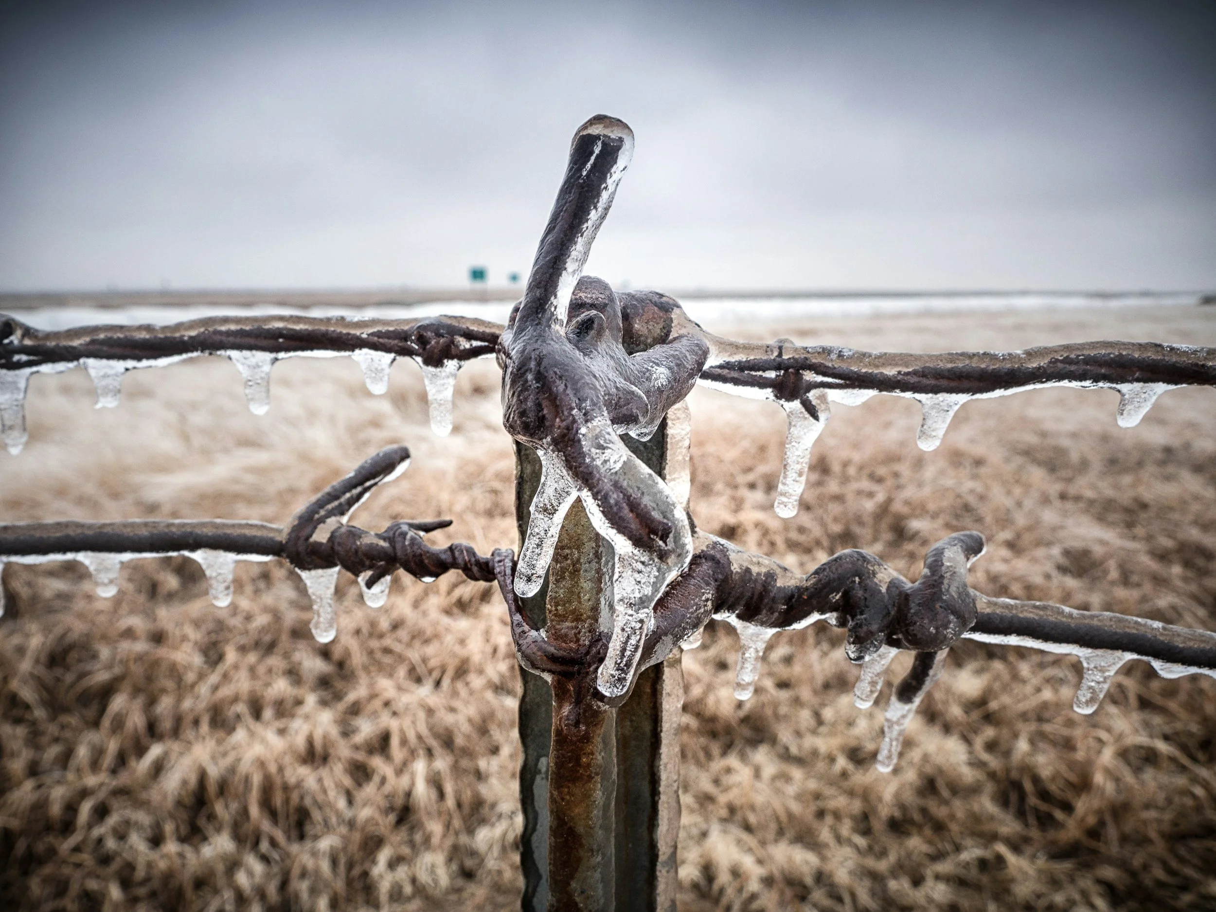 Major storm poses biggest test for Texas grid since Uri killed 246