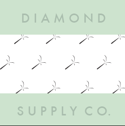 Diamond Supply Co_Web Banner.png