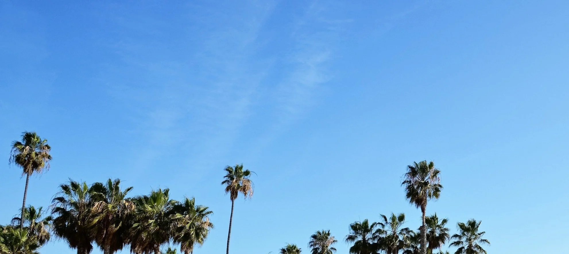 Los Angeles County Funeral Directors Association