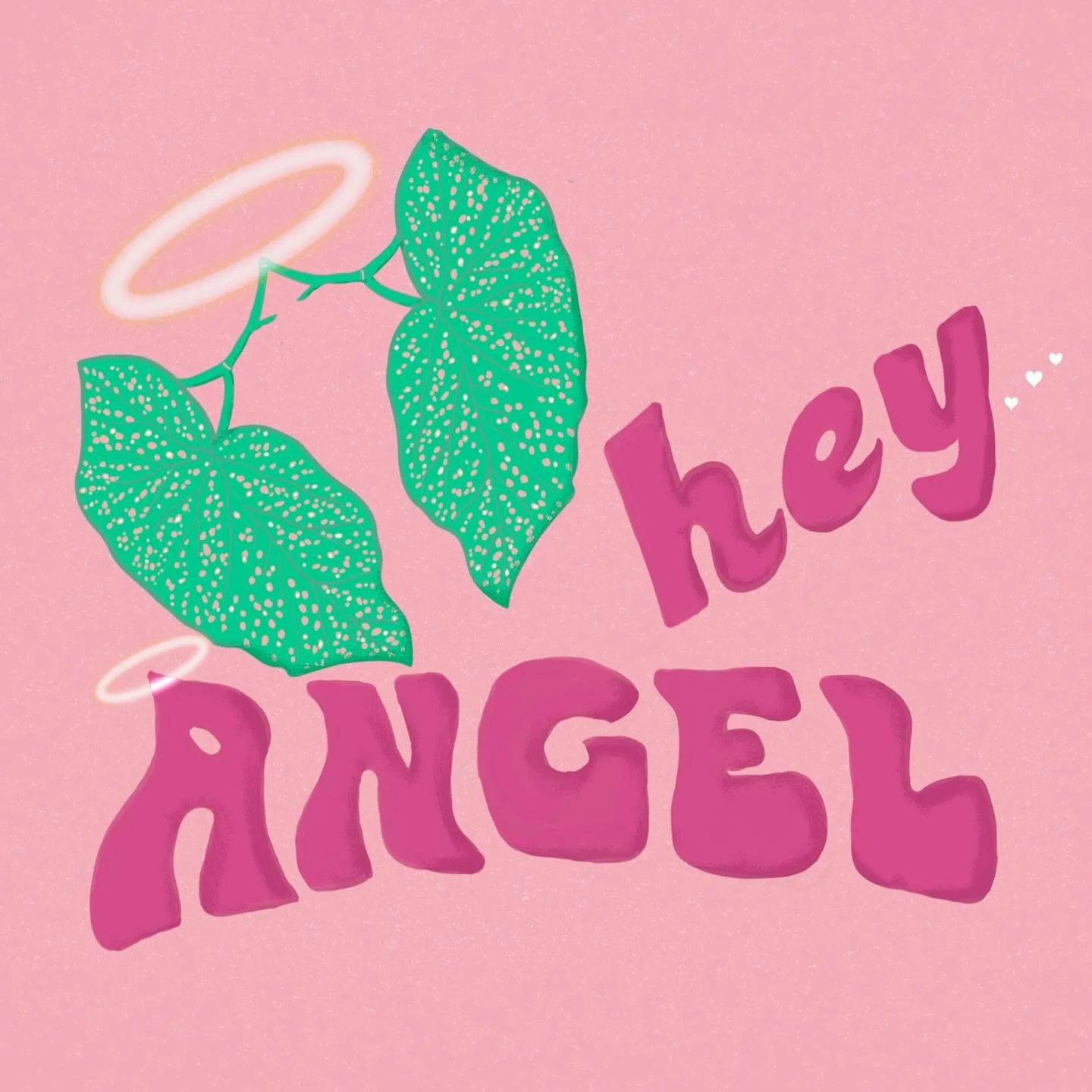 Hey Angels 🪴🪽🩷

I was given inspiration on this one from my own legend of a beloved Angel Begonia. 

She was handed down to me by a dear friend years ago when my kids were little when she moved out of the country and has been giving life to many A