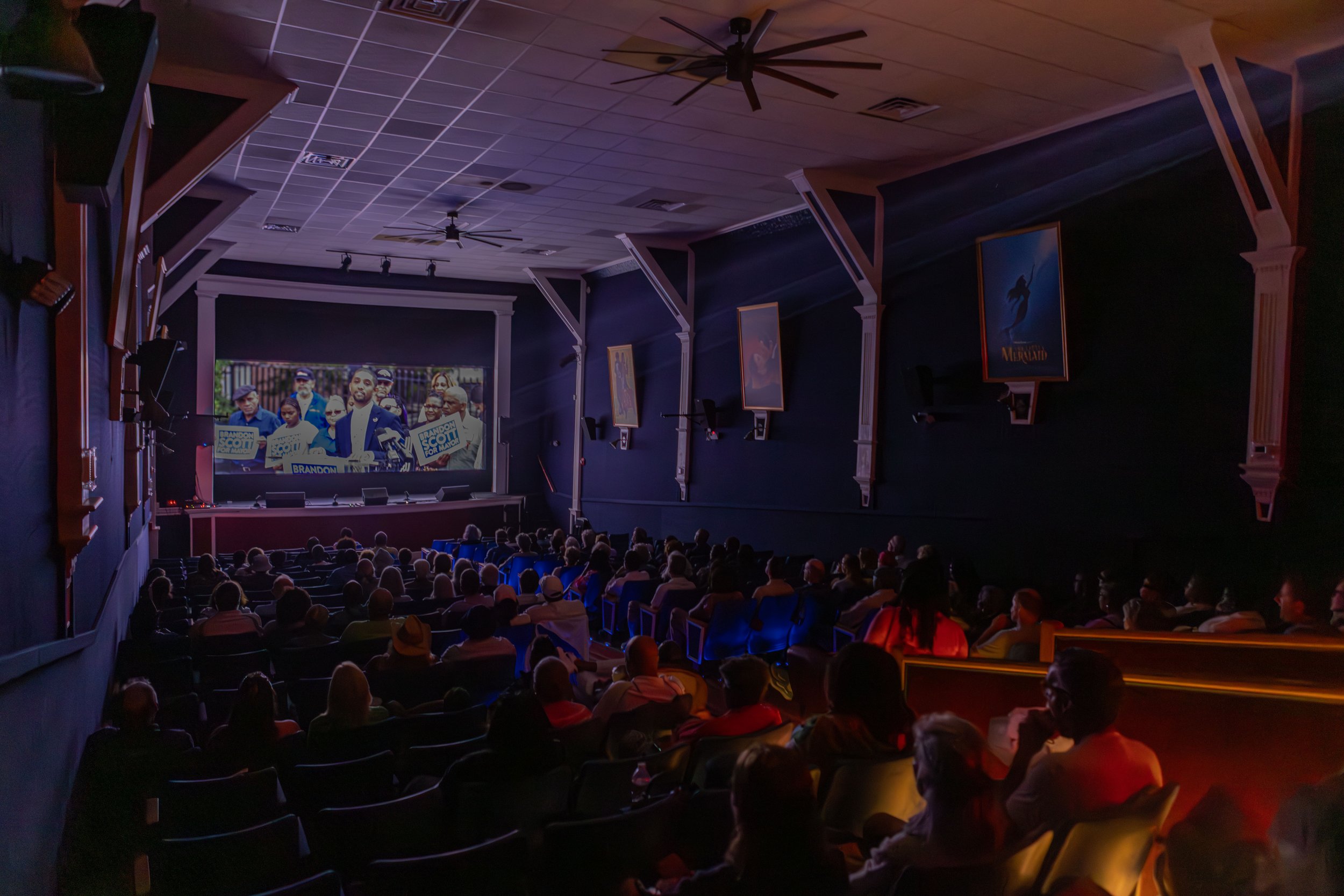 Body Politic-Vineyard Lights Photography-6.jpeg