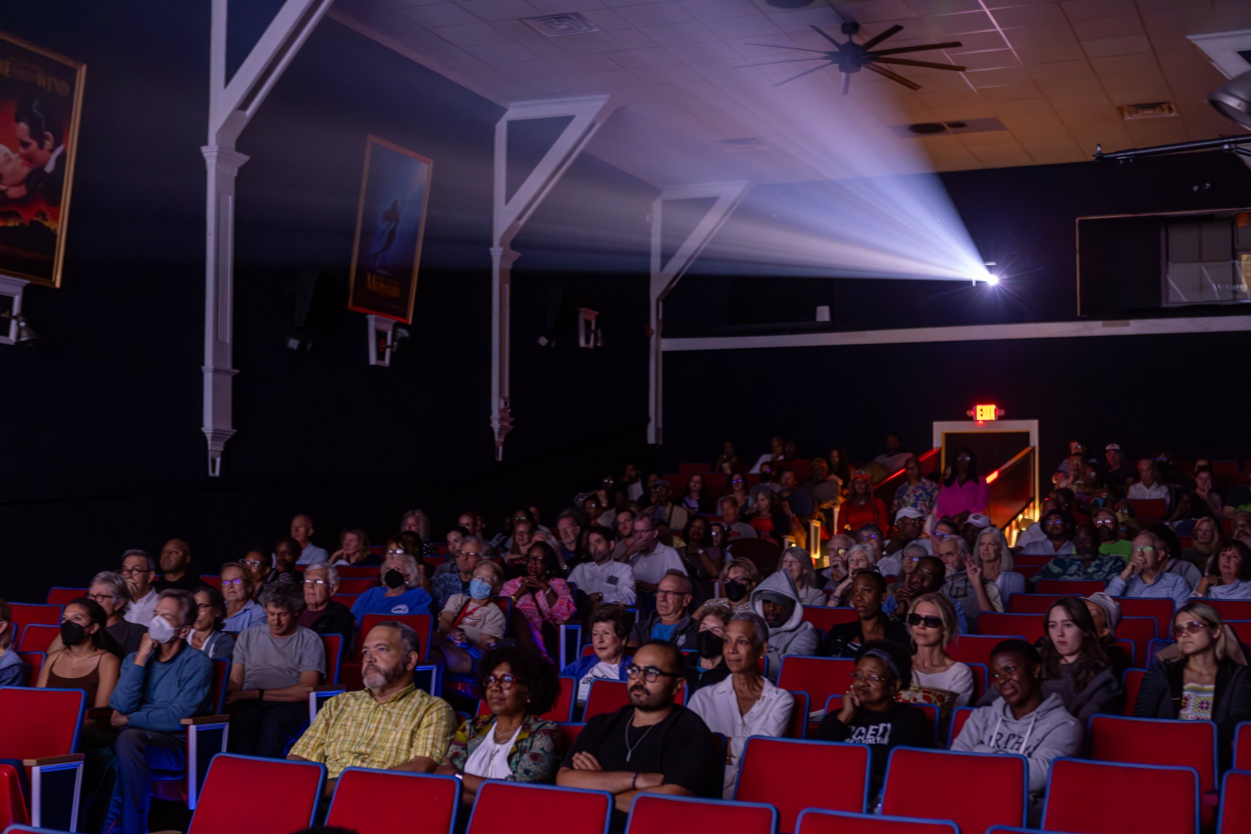 Body Politic-Vineyard Lights Photography-12.jpeg