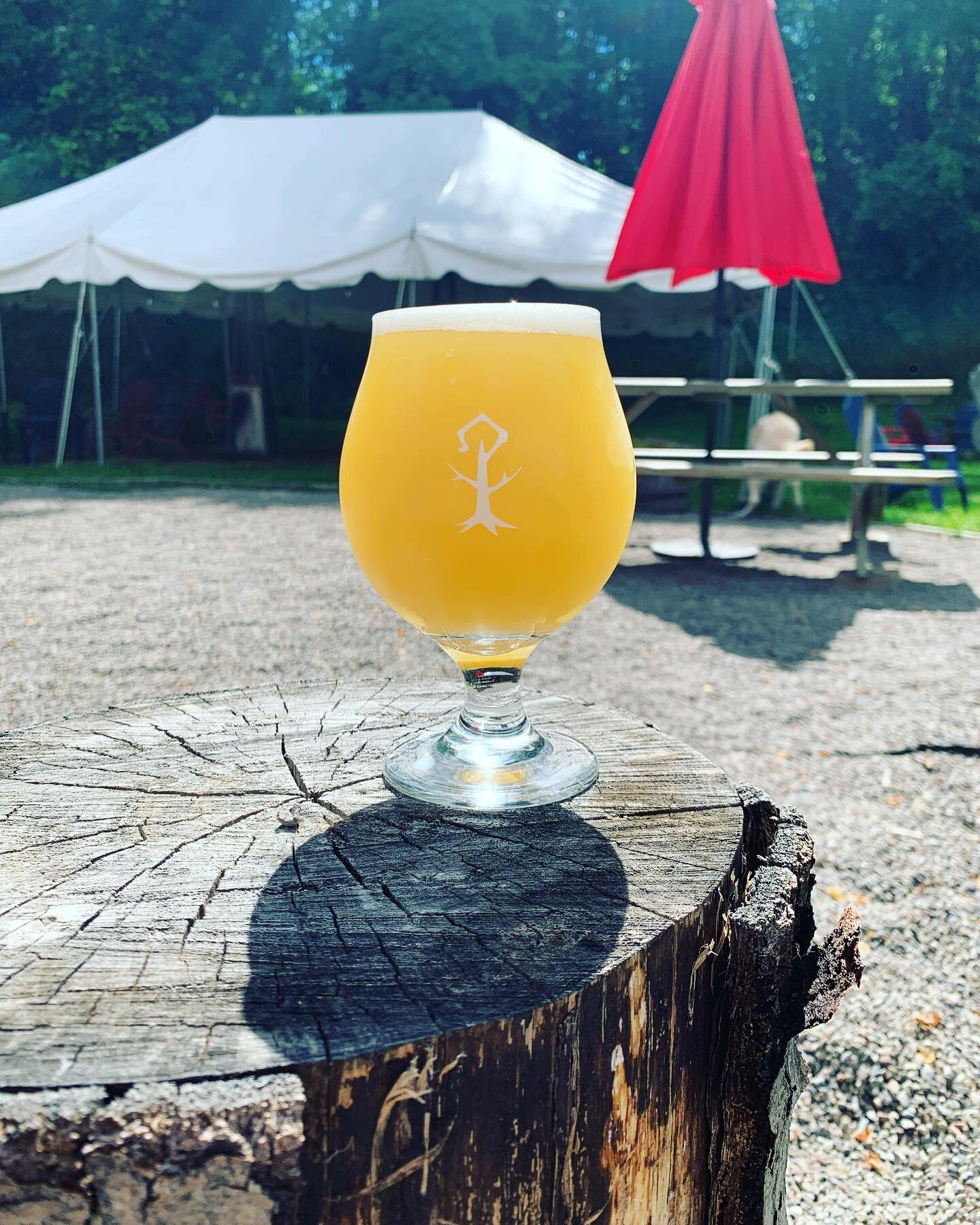 Open 12-9 today!

Kids Menu NEIPA Part 2 is on tap! A low ABV hazy IPA double dry hopped with Citra, Sabro &amp; Nelson Sauvin. 4.8% ABV

No Pad Thai Catering today BUT we do have the fine folks of FLX Hots serving up some tasty food from 6-8 today a