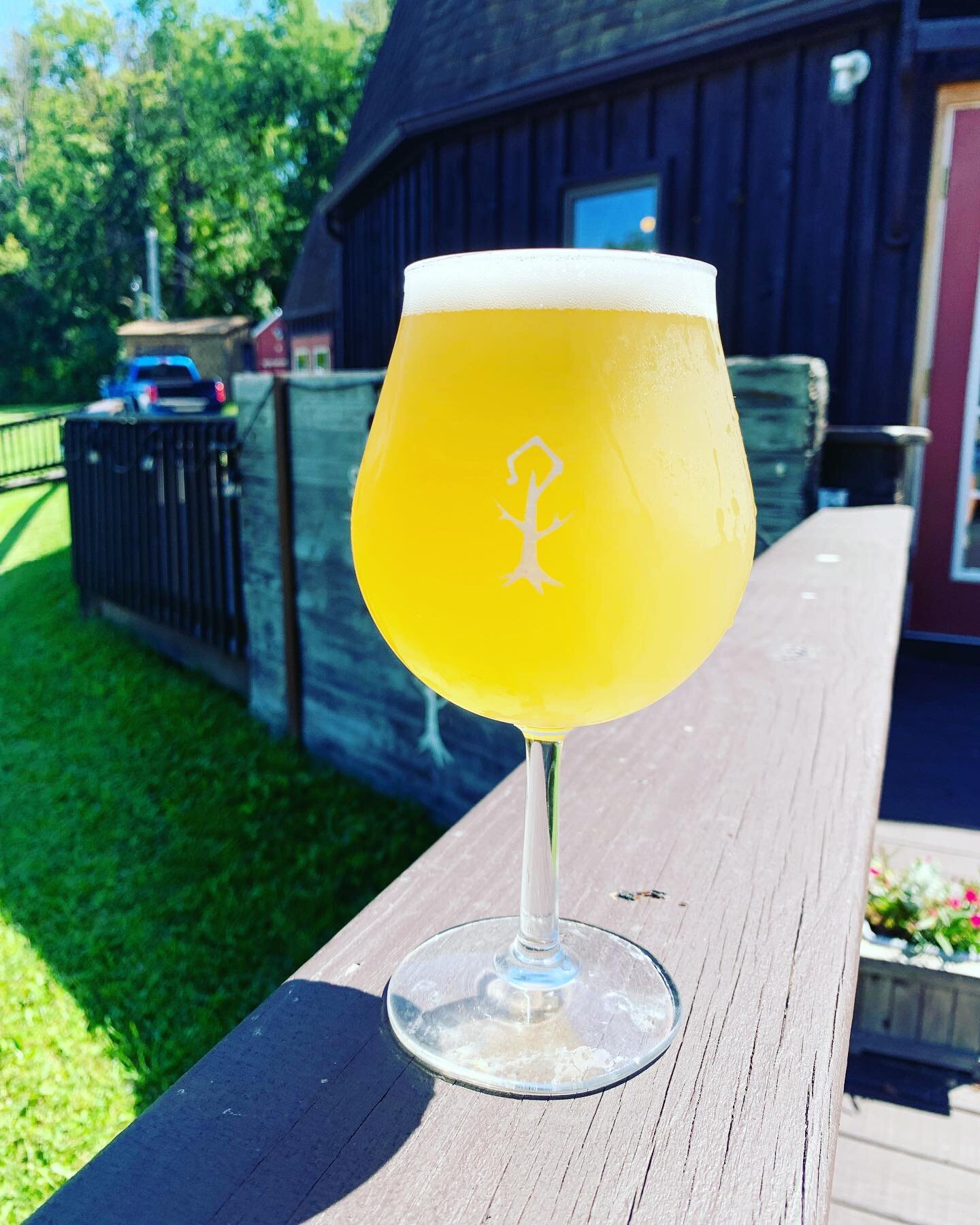 Lemon &amp; Ginger Saison is on tap!
Belgian saison conditioned on fresh ginger and fresh lemon&hellip;delightfully refreshing. 6.5% ABV

Live music with Trevor Donlon from 6-8! @tj_donlon 

The Bristol Fire Department will be here at 4:00 doing a fu