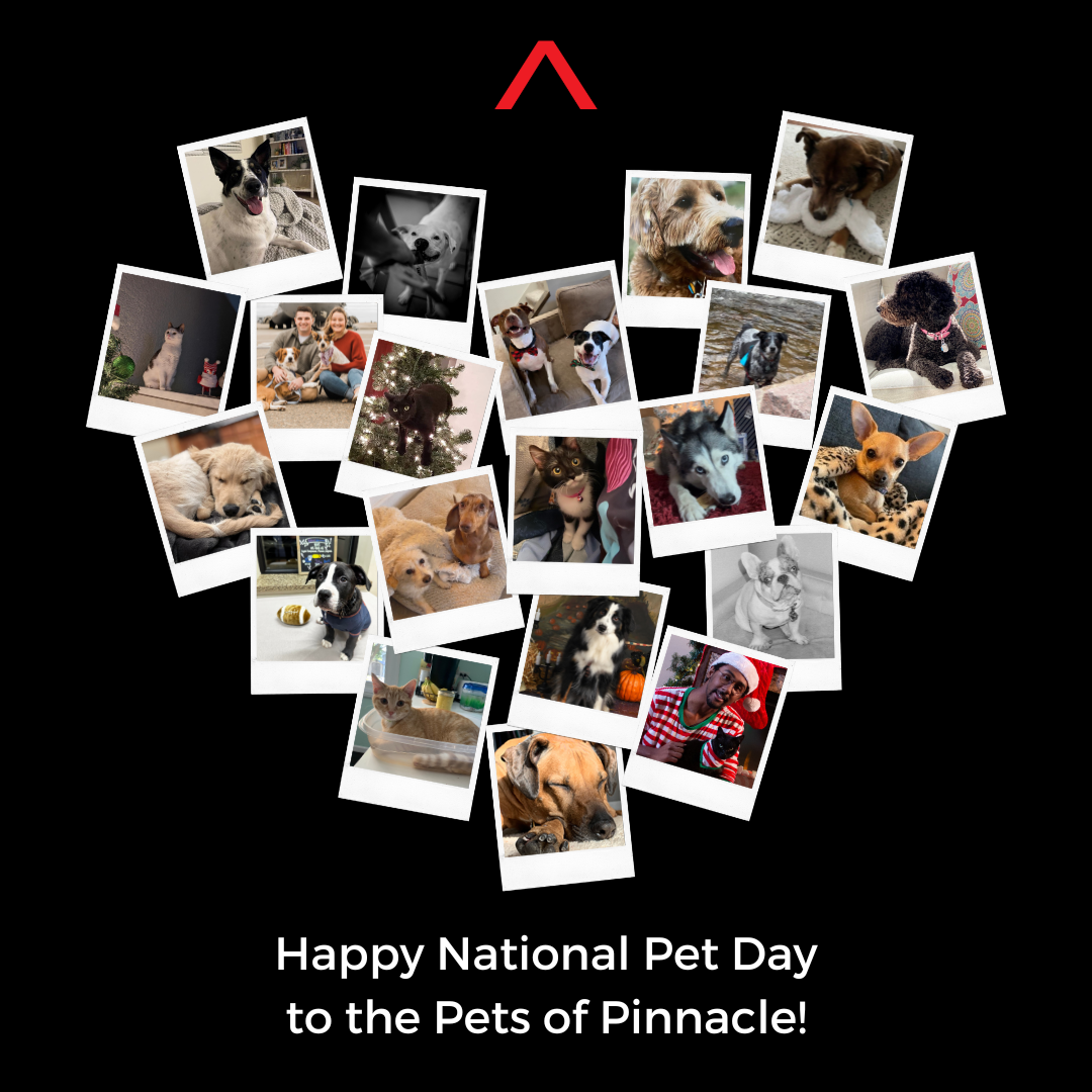 Happy National Pet Day from the Pets of Pinnacle!.png