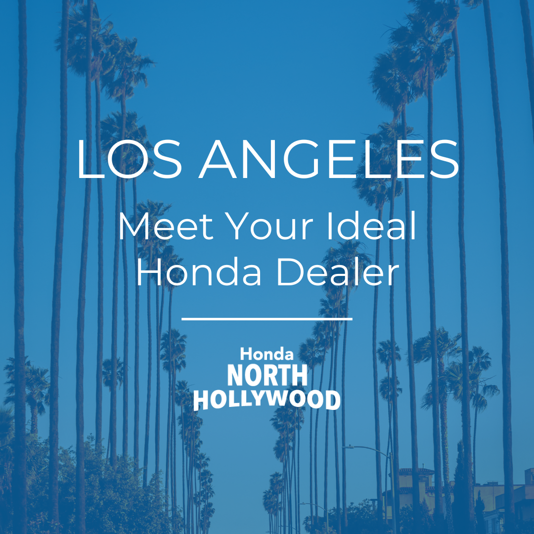 Service Pass + Blog.png