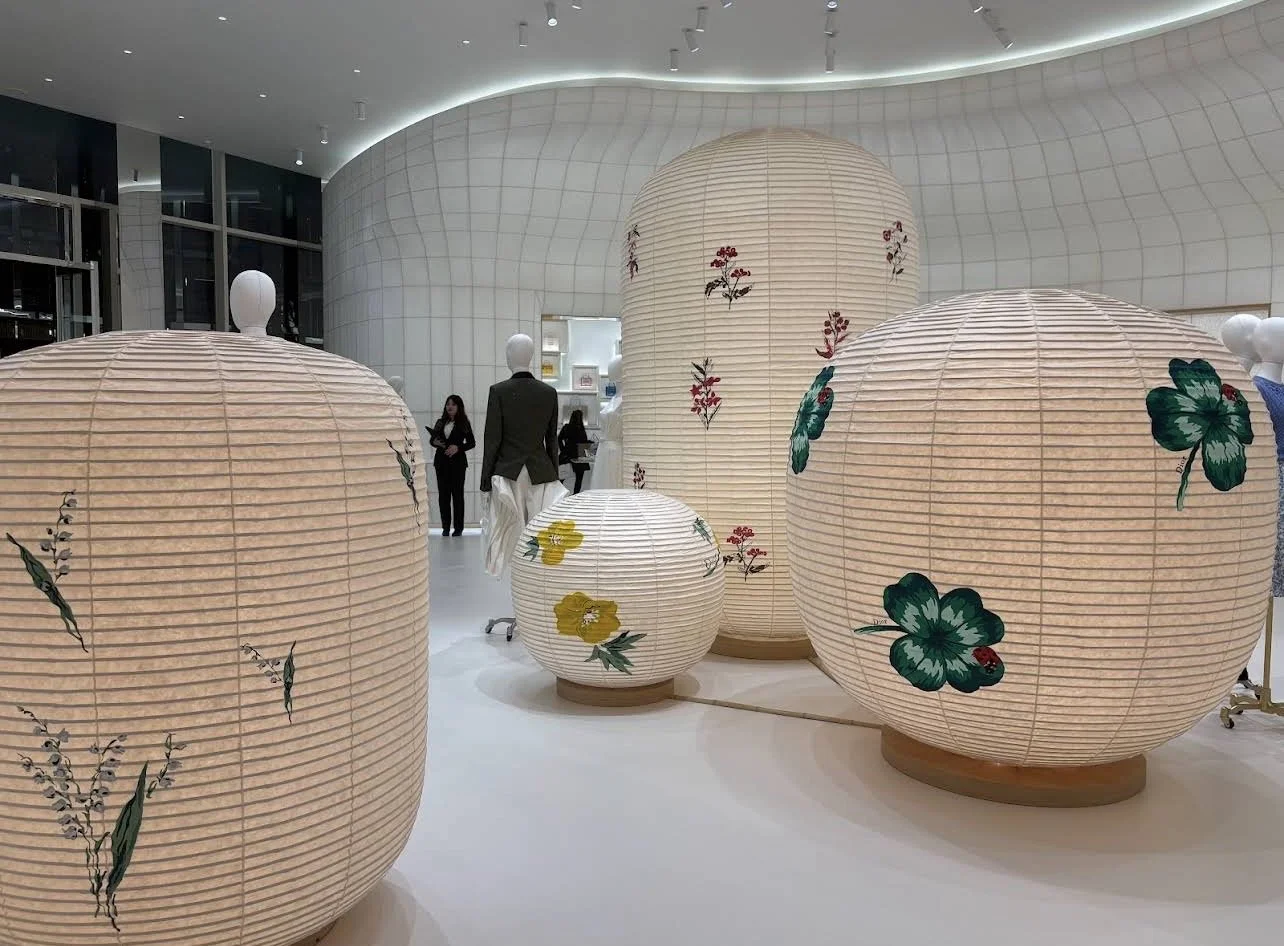 DIOR 3.jpg