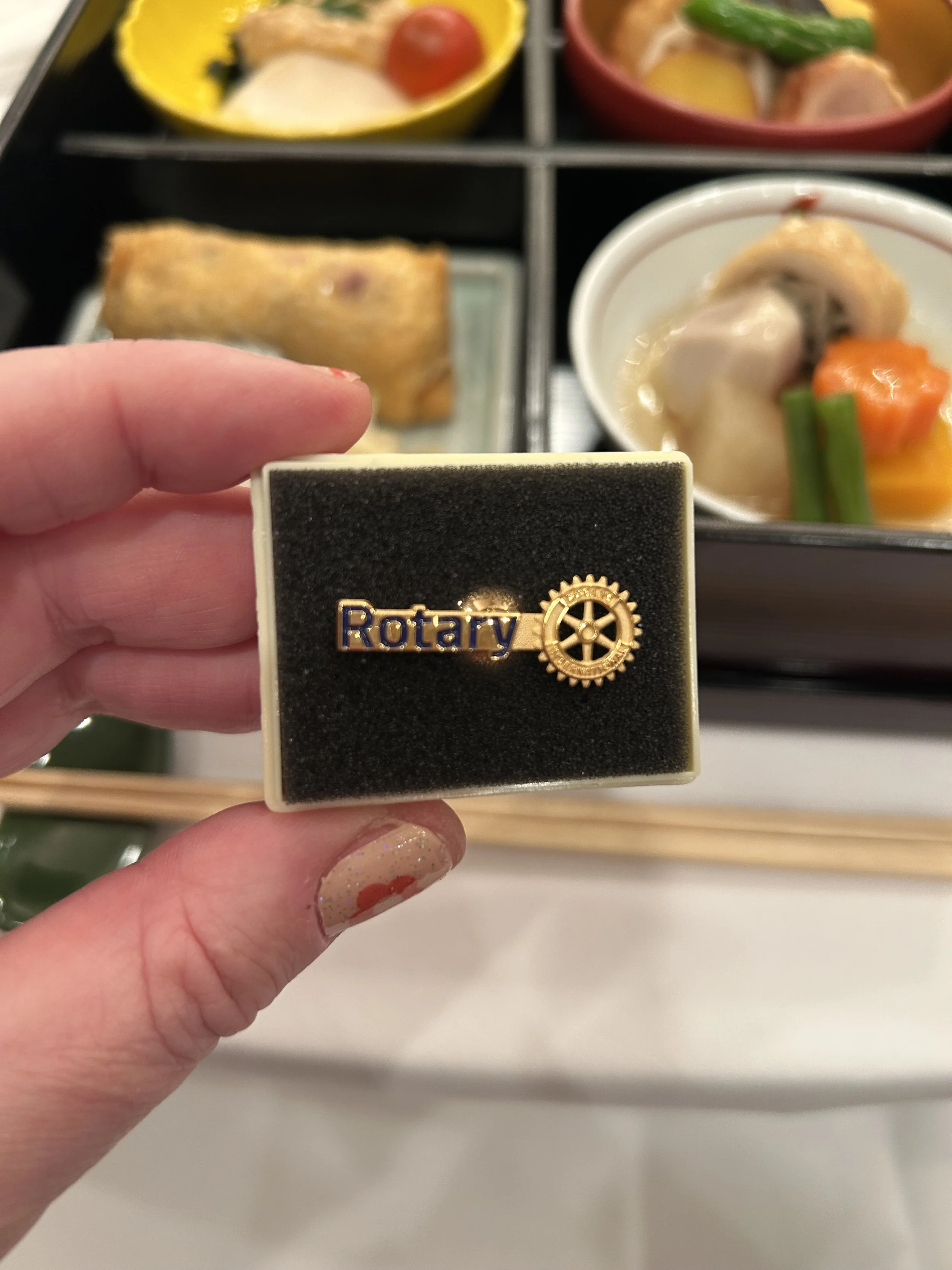 Rotary badge.jpeg