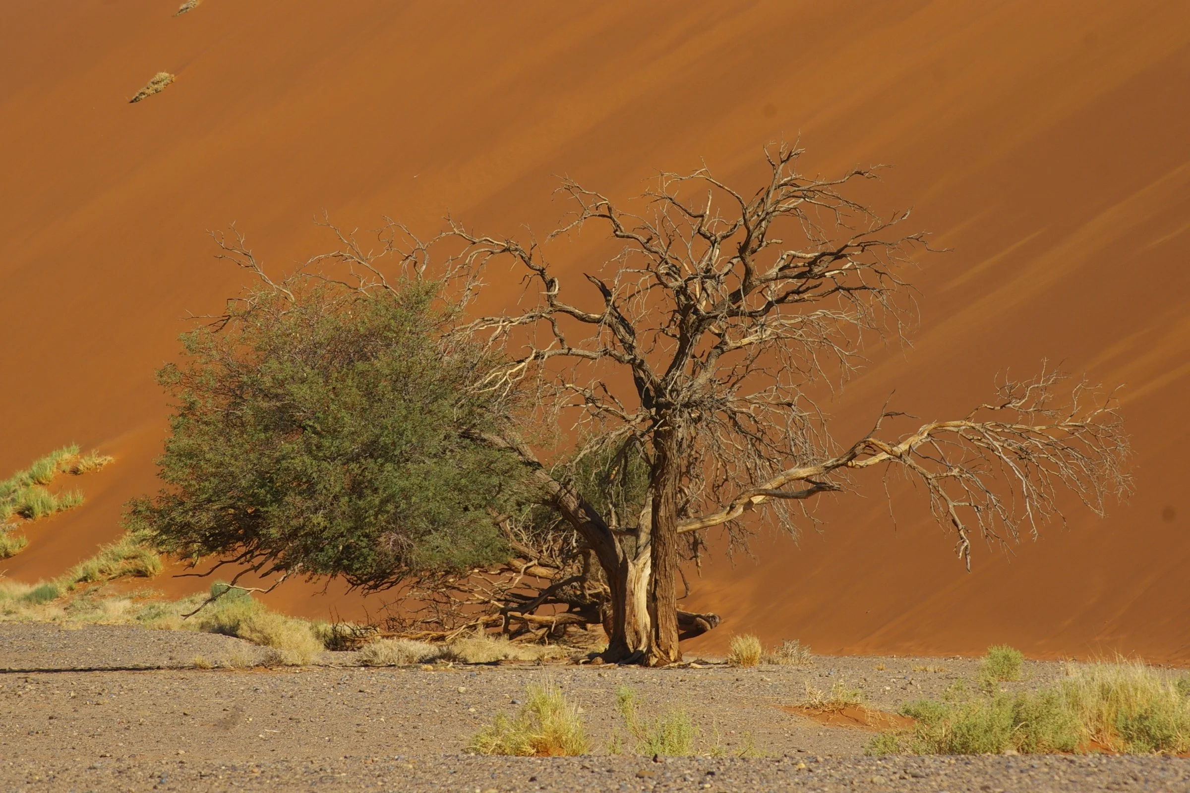 Sossusvlei, Namibia