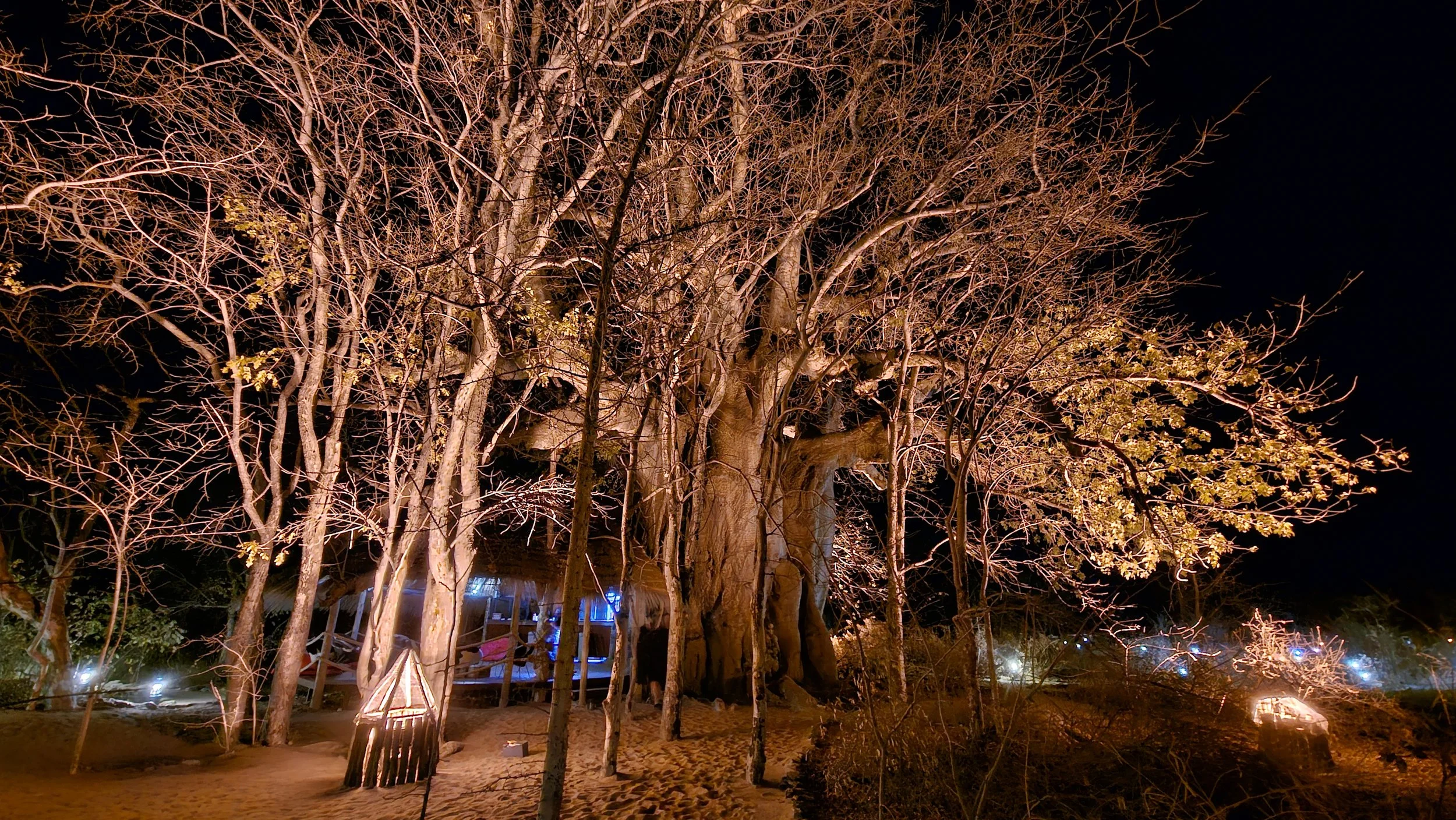20250713_214452.jpg