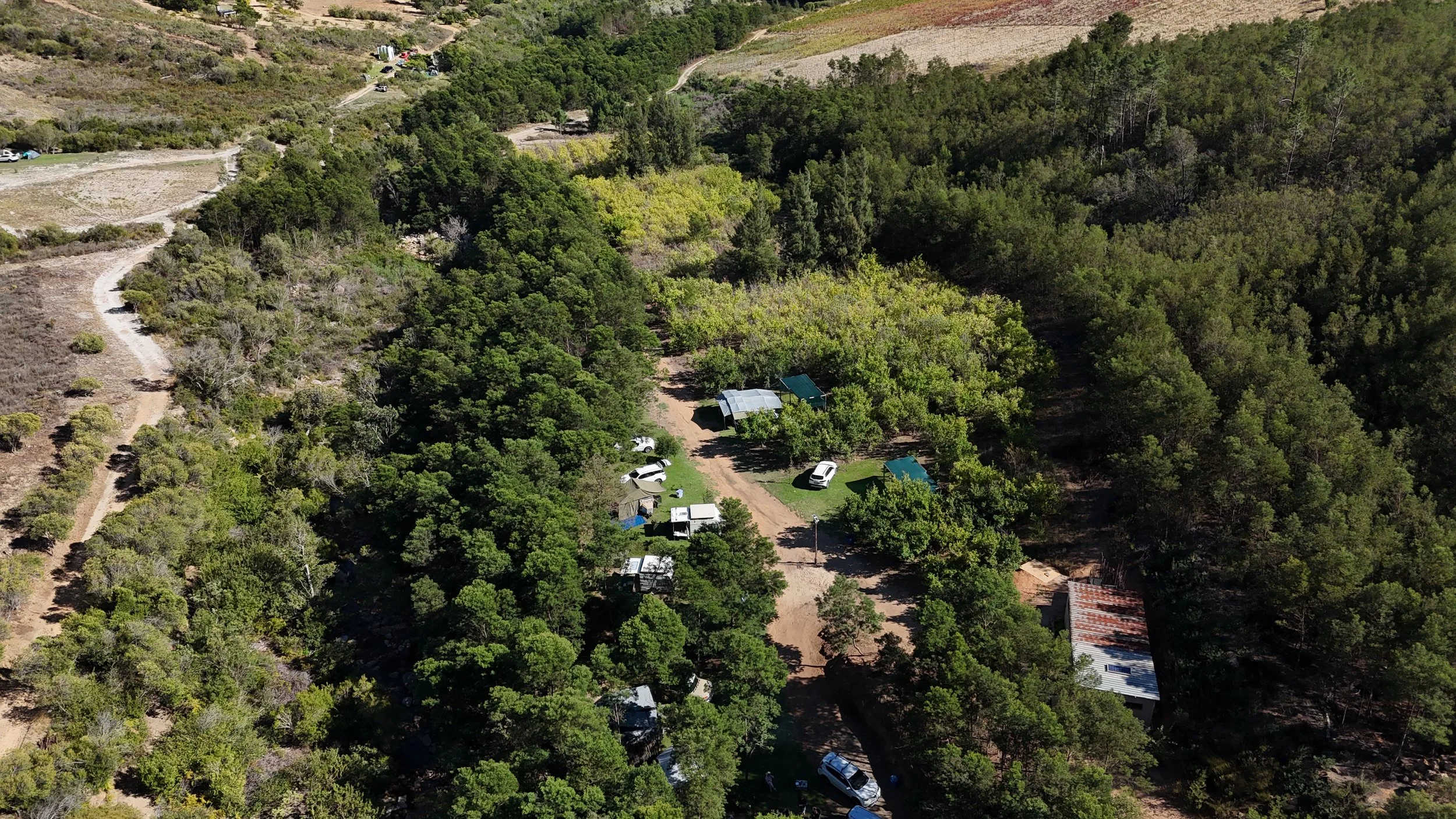 DJI_20260308095414_0206_D.JPG