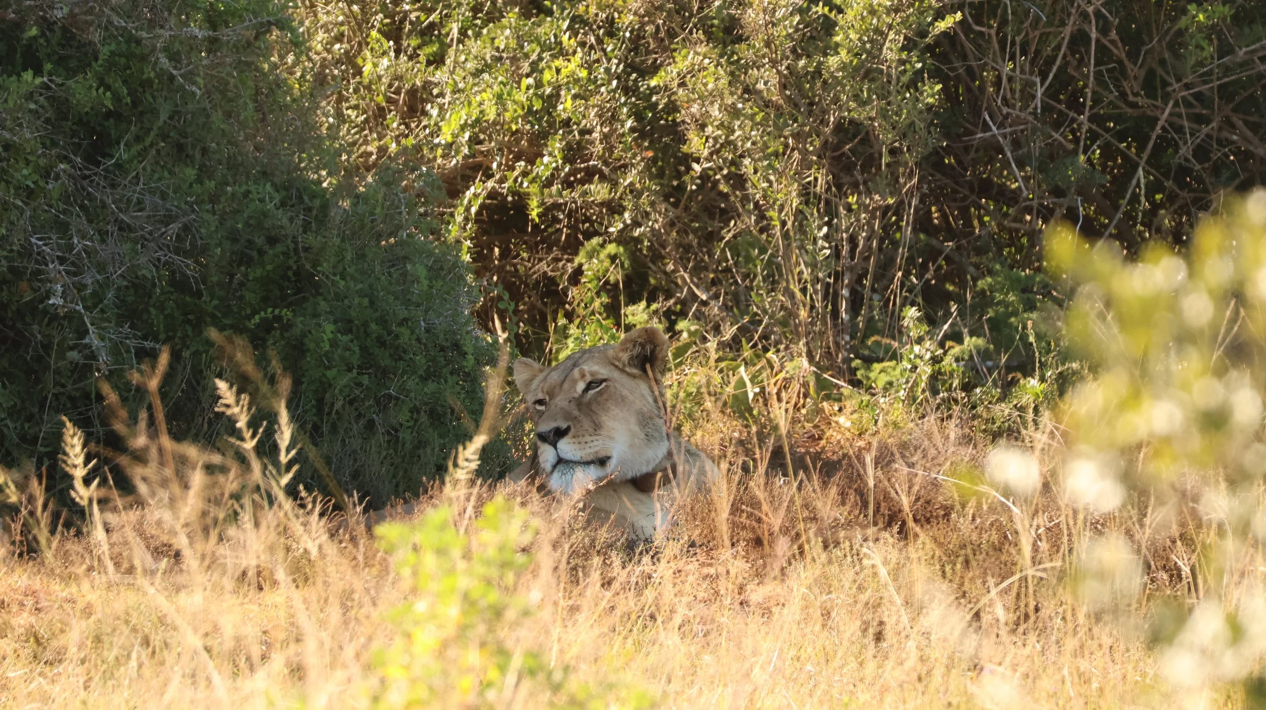 IMG_6695.JPG